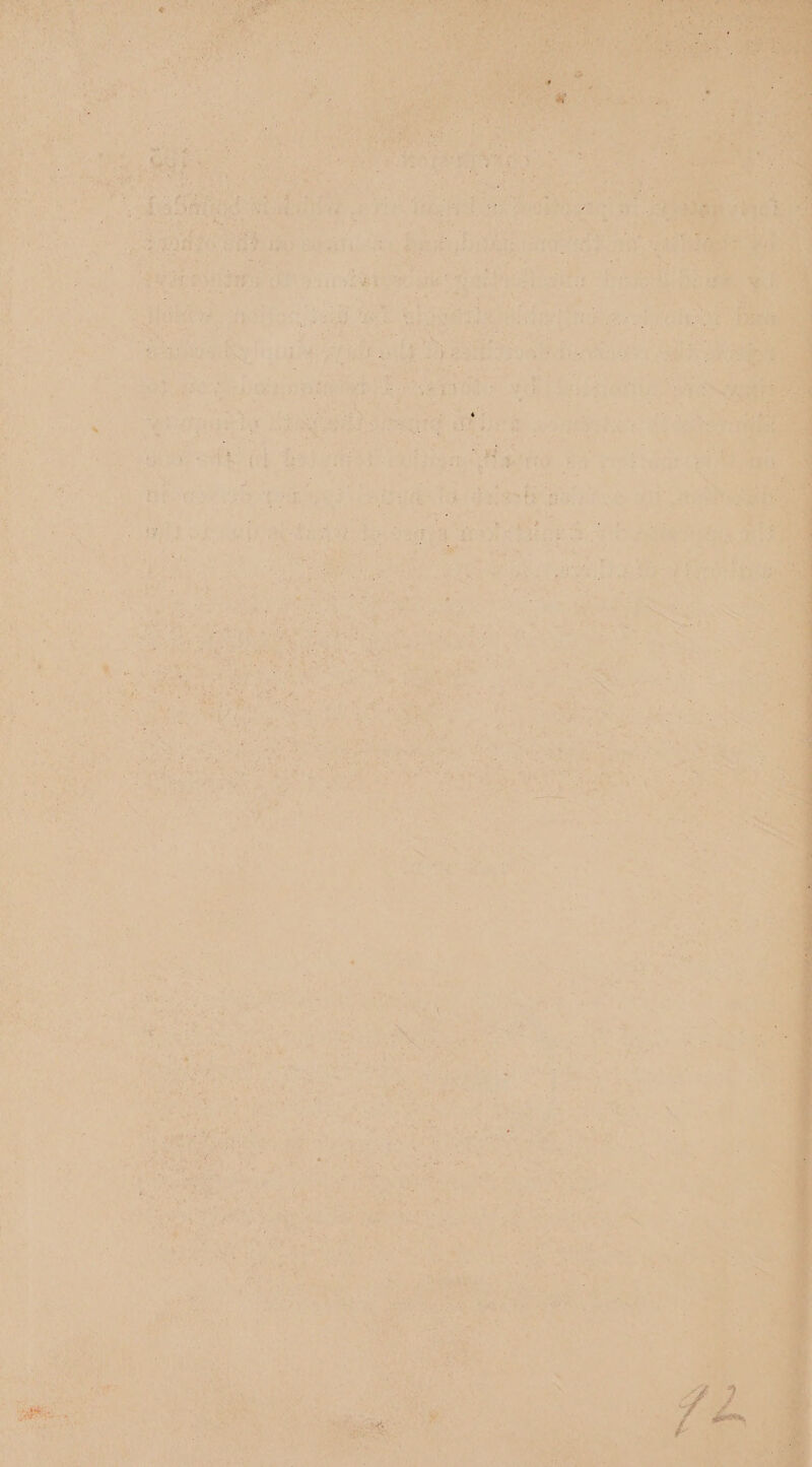 ¥ oe ere ste cake ; Kaw Pari ¥ Ae ee ee meni SR Ne FE SPS IPSS, AE SA io RCE YG 2 ra ate . ‘ ones Bs tes a ere ce Ra Rew hice FP snd be = J + *