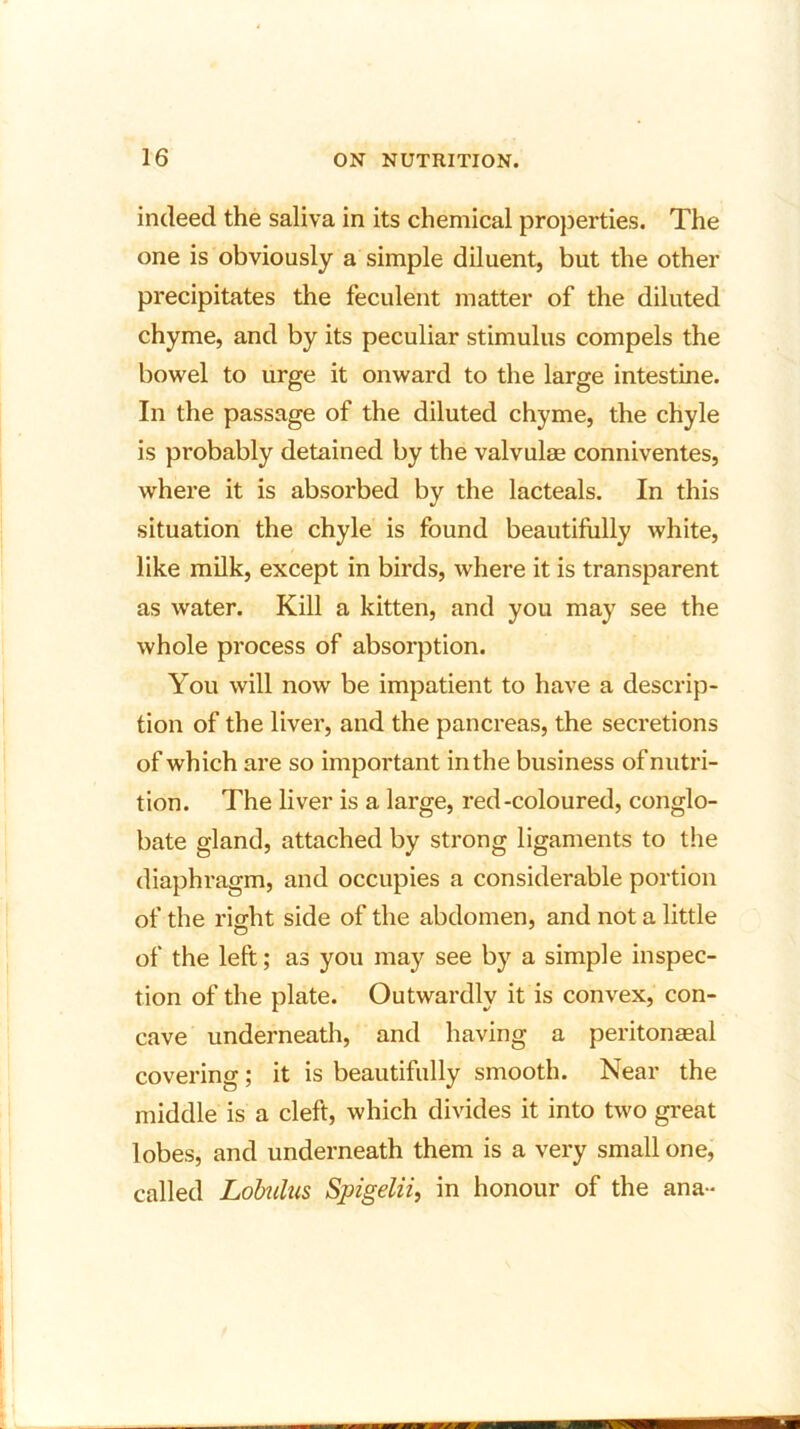 indeed the saliva in its chemical properties. The one is obviously a simple diluent, but the other precipitates the feculent matter of the diluted chyme, and by its peculiar stimulus compels the bowel to urge it onward to the large intestine. In the passage of the diluted chyme, the chyle is probably detained by the valvulae conniventes, where it is absorbed by the lacteals. In this situation the chyle is found beautifully white, like milk, except in birds, where it is transparent as water. Kill a kitten, and you may see the whole process of absorption. You will now be impatient to have a descrip- tion of the liver, and the pancreas, the secretions of which are so important in the business of nutri- tion. The liver is a large, red-coloured, conglo- bate gland, attached by strong ligaments to the diaphragm, and occupies a considerable portion of the right side of the abdomen, and not a little of the left; as you may see by a simple inspec- tion of the plate. Outwardly it is convex, con- cave underneath, and having a peritoneal covering; it is beautifully smooth. Near the middle is a cleft, which divides it into two great lobes, and underneath them is a very small one, called Lobulus Spigelii, in honour of the ana-