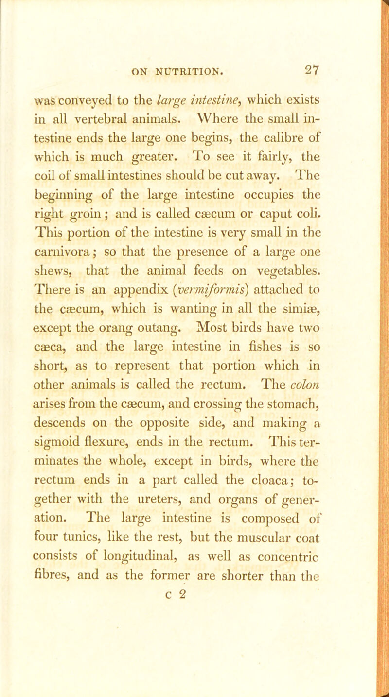 was conveyed to the large intestine, which exists in all vertebral animals. Where the small in- testine ends the large one begins, the calibre of which is much greater. To see it fairly, the coil of small intestines should be cut away. The beginning of the large intestine occupies the right groin; and is called cascum or caput coli. This portion of the intestine is very small in the carnivora; so that the presence of a large one shews, that the animal feeds on vegetables. There is an appendix (vermiformis) attached to the caecum, which is wanting in all the simiae, except the orang outang. Most birds have two caeca, and the large intestine in fishes is so short, as to represent that portion which in other animals is called the rectum. The colon arises from the caecum, and crossing the stomach, descends on the opposite side, and making a sigmoid flexure, ends in the rectum. This ter- minates the whole, except in birds, where the rectum ends in a part called the cloaca; to- gether with the ureters, and organs of gener- ation. The large intestine is composed of four tunics, like the rest, but the muscular coat consists of longitudinal, as well as concentric fibres, and as the former are shorter than the