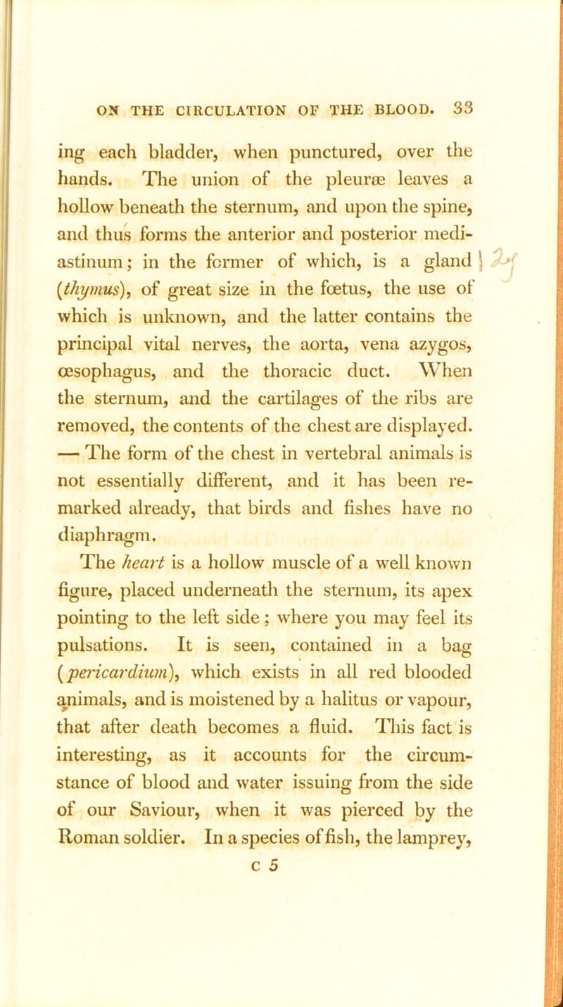 ing each bladder, when punctured, over the hands. The union of the pleurae leaves a hollow beneath the sternum, and upon the spine, and thus forms the anterior and posterior medi- astinum; in the former of which, is a gland (thymus), of great size in the foetus, the use of which is unknown, and the latter contains the principal vital nerves, the aorta, vena azygos, oesophagus, and the thoracic duct. When the sternum, and the cartilages of the ribs are removed, the contents of the chest are displayed. — The form of the chest in vertebral animals is not essentially different, and it has been re- marked already, that birds and fishes have no diaphragm. The heart is a hollow muscle of a well known figure, placed underneath the sternum, its apex pointing to the left side; where you may feel its pulsations. It is seen, contained in a bag (pericardium), which exists in all red blooded animals, and is moistened by a halitus or vapour, that after death becomes a fluid. This fact is interesting, as it accounts for the circum- stance of blood and water issuing from the side of our Saviour, when it was pierced by the Roman soldier. In a species of fish, the lamprey,