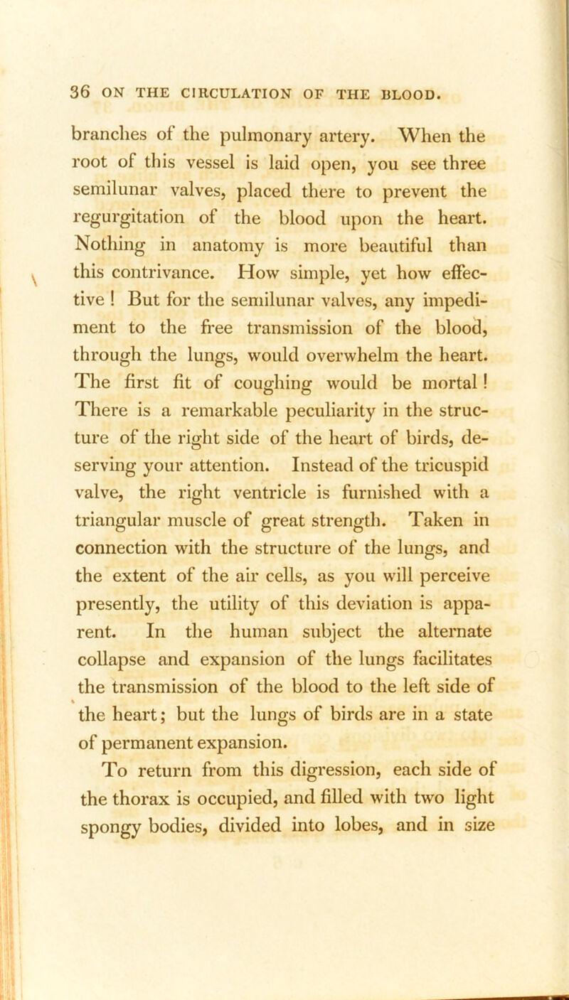 branches of the pulmonary artery. When the root of this vessel is laid open, you see three semilunar valves, placed there to prevent the regurgitation of the blood upon the heart. Nothing in anatomy is more beautiful than this contrivance. How simple, yet how effec- tive ! But for the semilunar valves, any impedi- ment to the free transmission of the blood, through the lungs, would overwhelm the heart. The first fit of coughing would be mortal ! There is a remarkable peculiarity in the struc- ture of the right side of the heart of birds, de- serving your attention. Instead of the tricuspid valve, the right ventricle is furnished with a triangular muscle of great strength. Taken in connection with the structure of the lungs, and the extent of the air cells, as you will perceive presently, the utility of this deviation is appa- rent. In the human subject the alternate collapse and expansion of the lungs facilitates the transmission of the blood to the left side of % the heart; but the lungs of birds are in a state of permanent expansion. To return from this digression, each side of the thorax is occupied, and filled with two light spongy bodies, divided into lobes, and in size