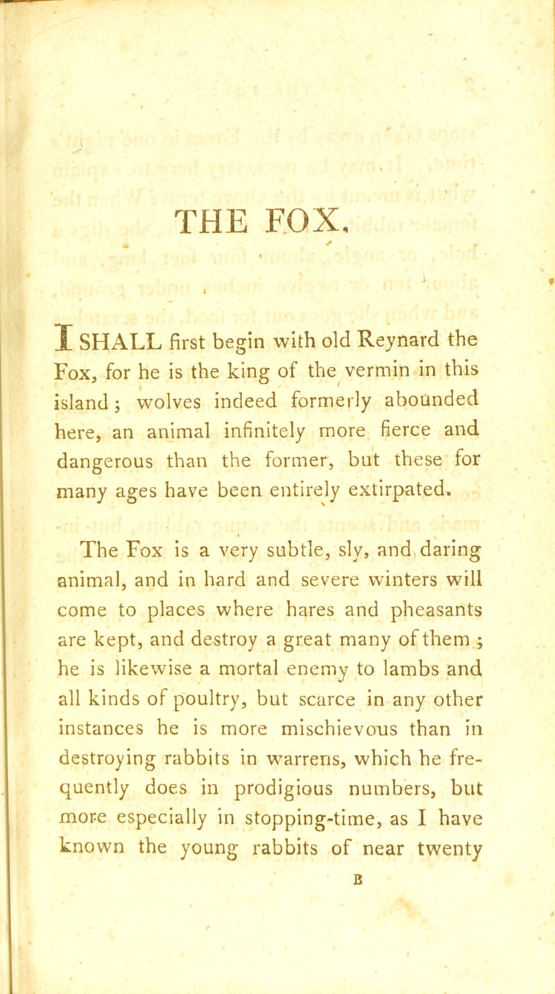 THE FOX, I SHALL first begin with old Reynard the Fox, for he is the king of the vermin in this island; wolves indeed formerly abounded here, an animal infinitely more fierce and dangerous than the former, but these for many ages have been entirely extirpated. • v The Fox is a very subtle, sly, and daring animal, and in hard and severe winters will come to places where hares and pheasants are kept, and destroy a great many of them ; he is likewise a mortal enemy to lambs and all kinds of poultry, but scarce in any other instances he is more mischievous than in destroying rabbits in warrens, which he fre- quently does in prodigious numbers, but more especially in stopping-time, as I have known the young rabbits of near twenty B