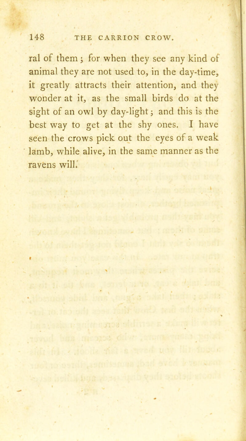ral of them ; for when they see any kind of animal they are not used to, in the day-time, it greatly attracts their attention, and they wonder at it, as the small birds do at the sight of an owl by day-light; and this is the best way to get at the shy ones. I have seen the crows pick out the eyes of a weak lamb, while alive, in the same manner as the ravens will. I