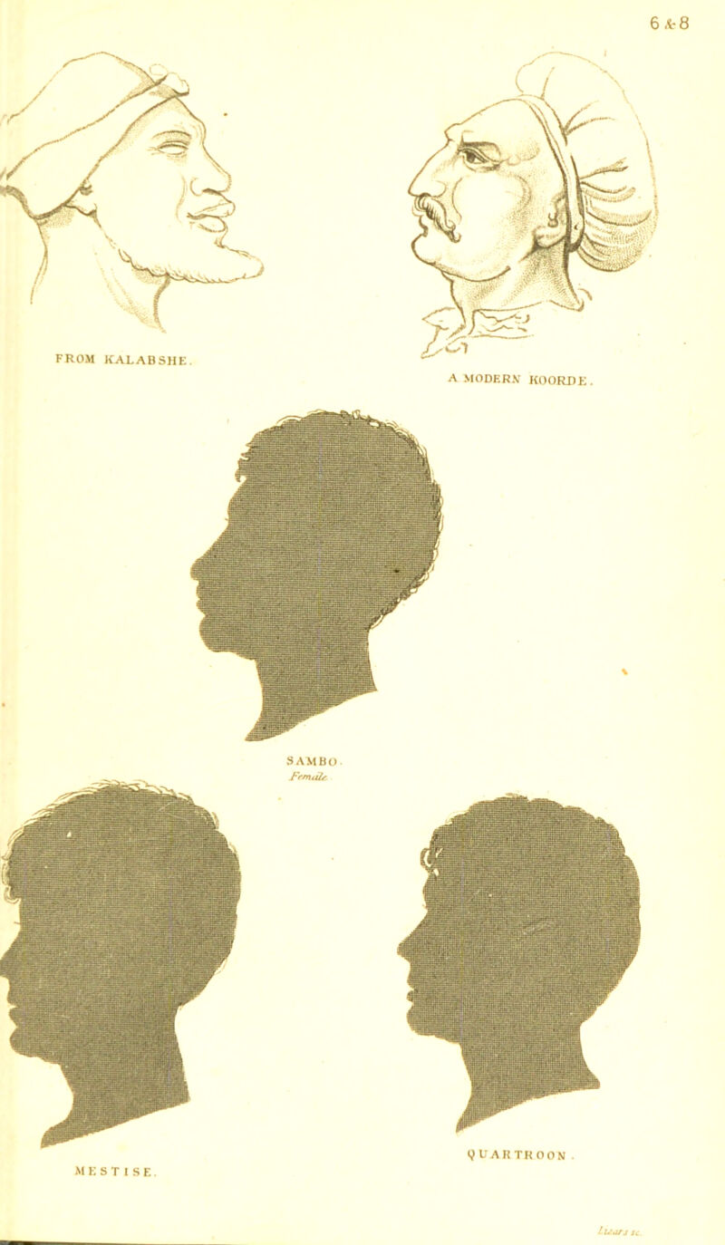 6 A-8 FROM KALABSHE A MODERN KOORDK. SAMBO FemaU- ME8TISE. V UAH TROON ■ Lu.iss sc.