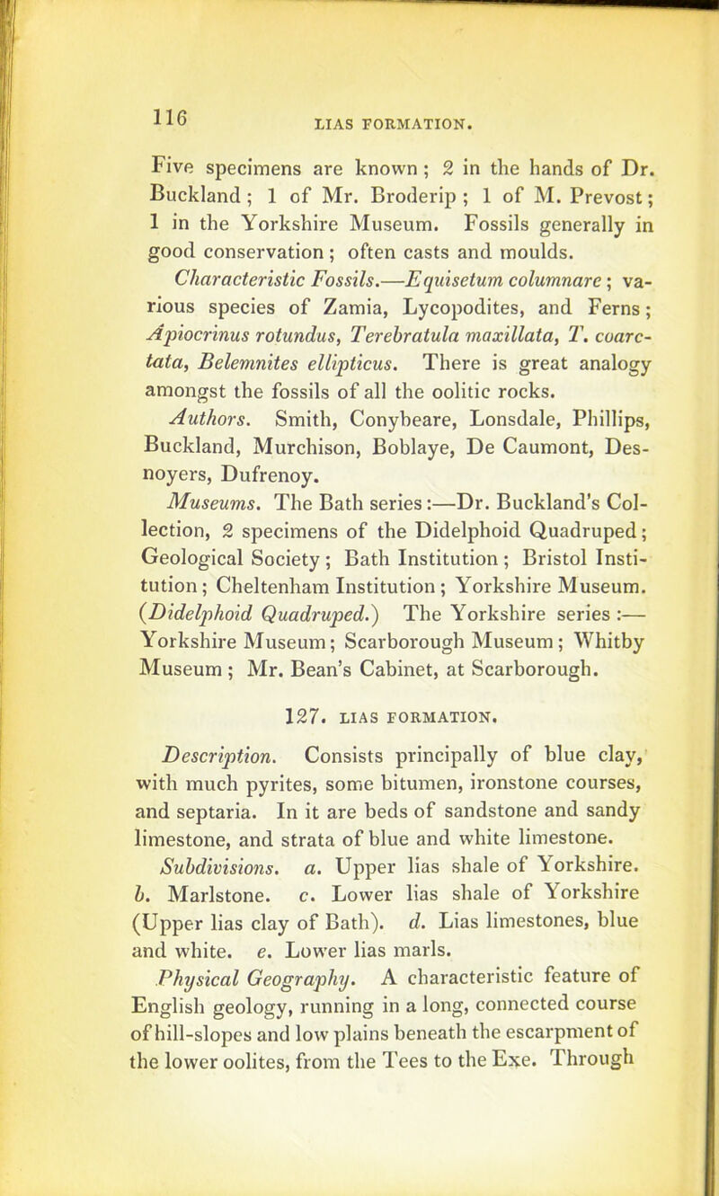 LIAS FORMATION. Five specimens are known ; 2 in the hands of Dr. Buckland; 1 of Mr. Broderip ; 1 of M. Prevost; 1 in the Yorkshire Museum. Fossils generally in good conservation ; often casts and moulds. Characteristic Fossils.—Equisetum columnare; va- rious species of Zamia, Lycopodites, and Ferns; Apiocrinus rotundas, Terehratula maxillata, T. coarc- tata, Belemnites ellipticus. There is great analogy amongst the fossils of all the oolitic rocks. Authors. Smith, Conybeare, Lonsdale, Phillips, Buckland, Murchison, Boblaye, De Caumont, Des- noyers, Dufrenoy. Museums. The Bath series:—Dr. Buckland’s Col- lection, 2 specimens of the Didelphoid Quadruped; Geological Society ; Bath Institution ; Bristol Insti- tution; Cheltenham Institution; Yorkshire Museum. {Didelphoid Quadruped.^ The Yorkshire series :— Yorkshire Museum; Scarborough Museum ; Whitby Museum ; Mr. Bean’s Cabinet, at Scarborough. 127. LIAS FORMATION. Description. Consists principally of blue clay, with much pyrites, some bitumen, ironstone courses, and septaria. In it are beds of sandstone and sandy limestone, and strata of blue and white limestone. Subdivisions, a. Upper lias shale of Yorkshire. h. Marlstone. c. Lower lias shale of Yorkshire (Upper lias clay of Bath), d. Lias limestones, blue and white, e. Lower lias marls. Physical Geography. A characteristic feature of English geology, running in a long, connected course of hill-slopes and low plains beneath the escarpment of the lower oolites, from the Tees to the Exe. Through