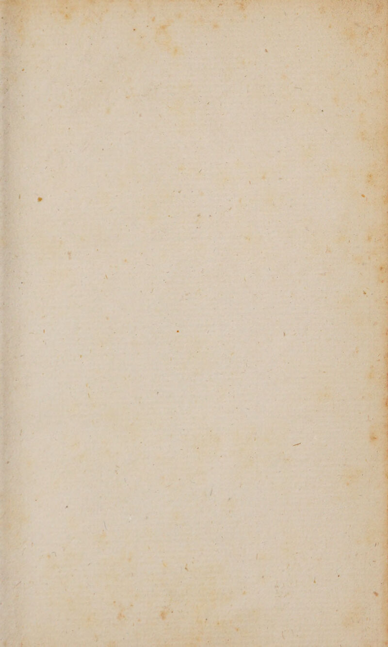 * pt no rd OA C ibxbait us