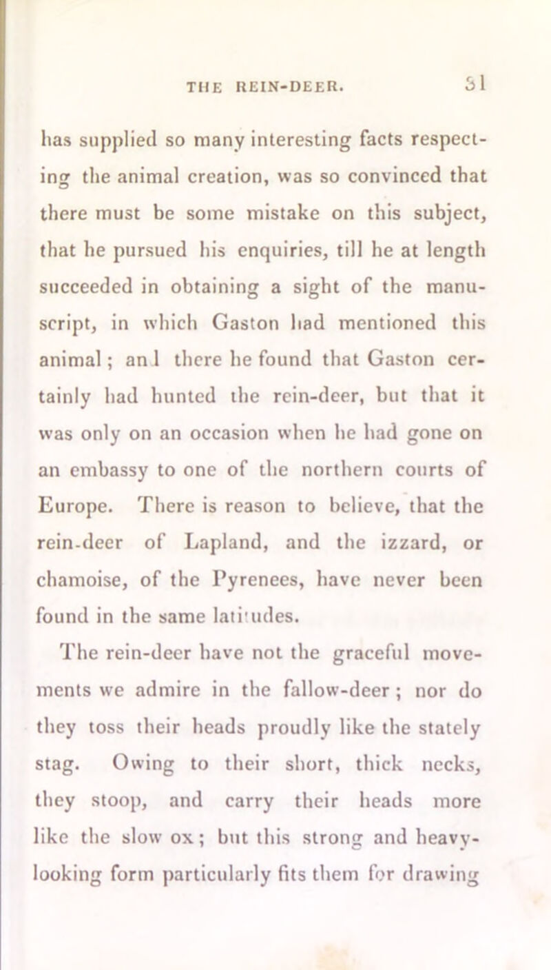 51 has supplied so many interesting facts respect- ing the animal creation, was so convinced that there must be some mistake on this subject, that he pursued his enquiries, till he at length succeeded in obtaining a sight of the manu- script, in which Gaston had mentioned this animal; an 1 there he found that Gaston cer- tainly had hunted the rein-deer, but that it was only on an occasion when he had gone on an embassy to one of the northern courts of Europe. There is reason to believe, that the rein-deer of Lapland, and the izzard, or chamoise, of the Pyrenees, have never been found in the same latitudes. The rein-deer have not the graceful move- ments we admire in the fallow-deer ; nor do they toss their heads proudly like the stately stag. Owing to their short, thick necks, they stoop, and carry their heads more like the slow ox; but this strong and heavy- looking form particularly fits them for drawing