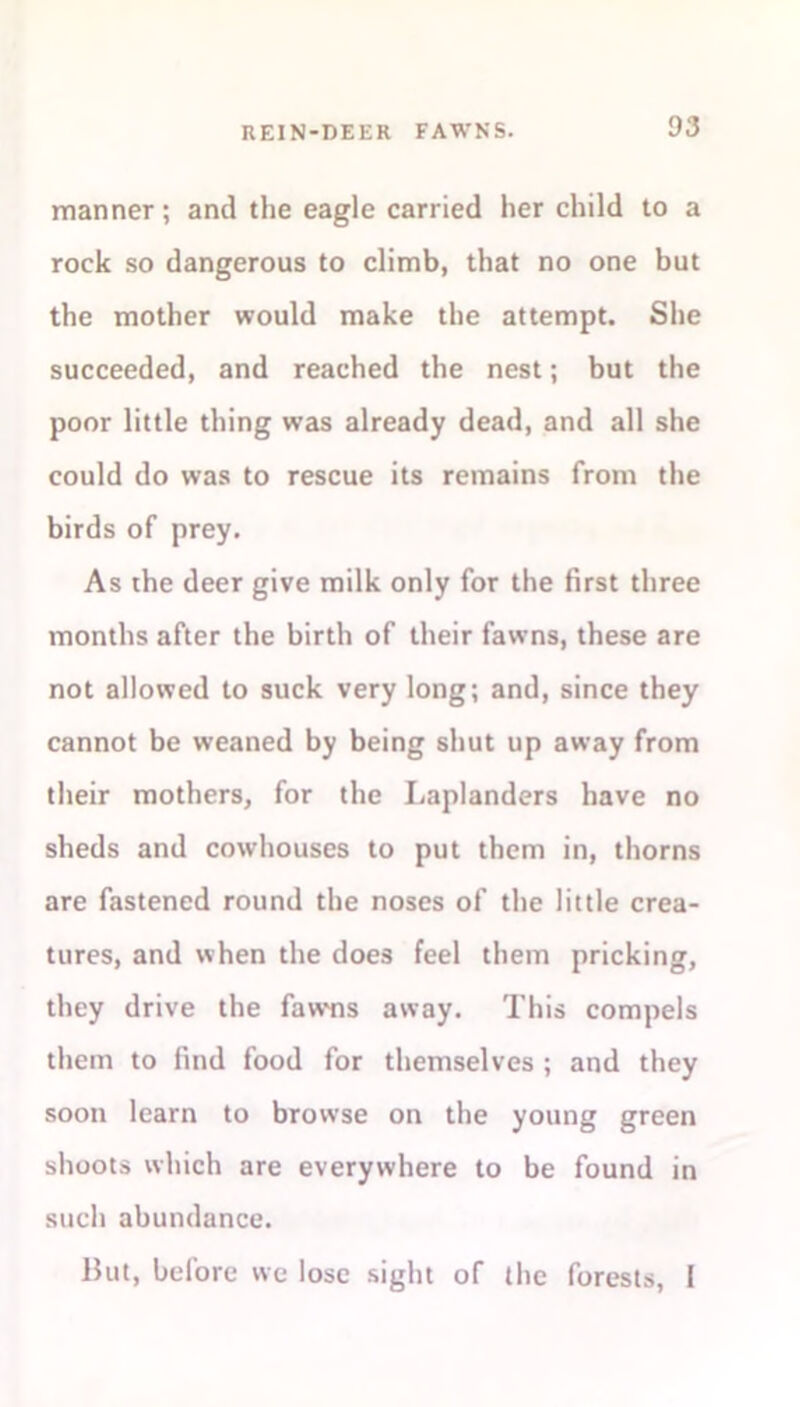 manner; and the eagle carried her child to a rock so dangerous to climb, that no one but the mother would make the attempt. She succeeded, and reached the nest; but the poor little thing was already dead, and all she could do was to rescue its remains from the birds of prey. As the deer give milk only for the first three months after the birth of their fawns, these are not allowed to suck very long; and, since they cannot be weaned by being shut up away from their mothers, for the Laplanders have no sheds and cowhouses to put them in, thorns are fastened round the noses of the little crea- tures, and when the does feel them pricking, they drive the fawns away. This compels them to find food for themselves ; and they soon learn to browse on the young green shoots which are everywhere to be found in such abundance. But, before we lose sight of the forests, I