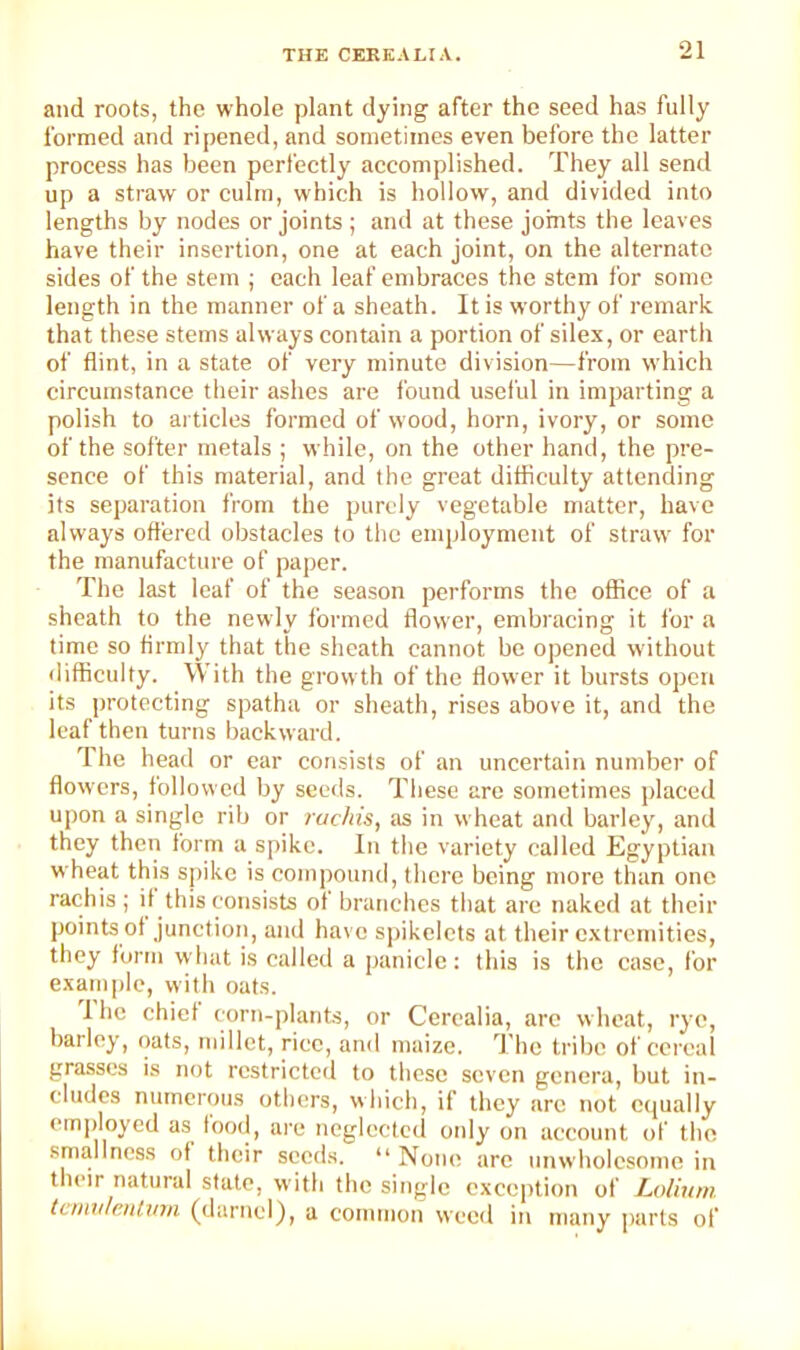 and roots, the whole plant dying after the seed has fully formed and ripened, and sometimes even before the latter process has been perfectly accomplished. They all send up a straw or culm, which is hollow, and divided into lengths by nodes or joints ; and at these joints the leaves have their insertion, one at each joint, on the alternate sides of the stem ; each leaf embraces the stem for some length in the manner of a sheath. It is worthy of remark that these stems always contain a portion of sile.x, or earth of flint, in a state of very minute division—from which circumstance their ashes are found useful in imparting a polish to articles formed of wood, horn, ivory, or some of the softer metals ; while, on the other hand, the pre- sence of this material, and the great difficulty attending its separation from the purely vegetable matter, have always offered obstacles to the employment of straw for the manufacture of paper. The last leaf of the season performs the office of a sheath to the newly formed flower, embracing it for a time so firmly that the sheath cannot be opened without difficulty. With the growth of the flower it bursts open its protecting spatha or sheath, rises above it, and the leaf then turns backward. The head or ear consists of an uncertain number of flow'ers, followed by seeds. These are somefimes placed upon a single rib or rachis, !is in wheat and barley, and they then form a spike. In the variety called Egyptian wheat this sj)ike is comjwund, there being more than one rachis ; if this consists of branches that are naked at their points of junction, and have spikelcts at their c.xtremities, they form what is called a panicle: this is the case, for exami)le, with oats. 1 ho chief corn-plants, or Cerealia, are wheat, rye, barley, oats, millet, rice, and maize. 'I’he tribe of cereal grasses is not rcstricteil to those seven genera, but in- cludes numerous others, which, if they arc not ecjually emijloyed as food, are neglcctcil oidy on account of the smallness of their seeds. “ None are unwholesome in their natural state, with the single exception of L,olinm tcinulmhmi (darnel), a common weed in many jiarts of