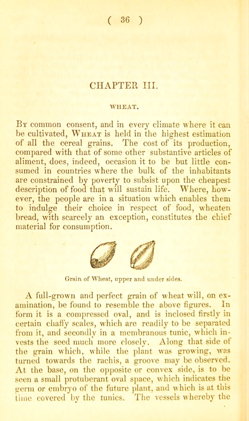 CHAPTER III. WHEAT. By common consent, and in every climate where it can be cultivated, Wheat is held in the highest estimation of all the cereal grains. The cost of its production, compared with that of some other substantive articles of aliment, does, indeed, occasion it to be but little con- sumed in countries where the bulk of the inhabitants are constrained by poverty to subsist upon the cheapest description of food that will sustain life. Where, how- ever, the people are in a situation which enables them to indulge their choice in respect of food, wheaten bread, with scarcely an exception, constitutes the chief material for consumption. Grain of Wheat, upper and under sides. A full-grown and perfect grain of wheat will, on ex- amination, be found to resemble the above figures. In form it is a com])ressed oval, and is inclosed firstly in certain chatl'y scales, which are readily to be separated from it, and secondly in a membranous tunic, which in- vests the seed much more closely. Along that side of the grain which, while the plant w:us growing, was turned towards the rachis, a groove maj' be observed. At the base, on the oj)])osite or convex side, is to be seen a small protuberant oval s])ace, which indicates the germ or embryo of the future ))lant, and which is at this time covered by the tunics. The vessels whereby the