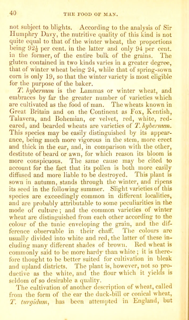 not, subject to blights. According to the analysis of Sir Humphry Davy, the nutritive quality of this kind is not quite equal to that of the winter wheat, the proportions being 9:2^ per cent, in the latter and only 94 per cent, in the former, of the entire bulk of the grains. The gluten contained in two kinds varies in a greater degree, that of winter wheat being 24, while that of spring-sown com is only 19, so that the wdnter variety is most eligible for the purpose of the baker. T. hyhemum is the Lammas or winter wheat, and embraces by far the greater number of varieties which are cultivated as the food of man. The wheats known in Great Britain and on the Continent as Fox, Kentish, Talavera, and Bohemian, or velvet, red, white, red- eared, and bearded wheats are varieties of T. hybemtan. This species may be easily distinguished by its apj)ear- ance, being much more vigorous in the stem, more erect and thick in the ear, and, in comparison with the other, destitute of beard or awn, for which reason its bloom is more conspicuous. The same cause may be cited to account for the fact that its pollen is both more easily diffused and more liable to be destroyed. This plant is sown in autumn, stands through the winter, and ripens its seed in the following summer. Slight varieties of this species are exceedingly common in different localities, and are probably attributable to some ])eculiarities in the mode of culture ; and tlie common varieties of winter wheat are distinguished from each other according to the colour of the tunic enveloping the grain, and the dif- ference observable in their chaff. Tlie colours are usually divided into white and red, the latter of those in- cluding many different shades of brown. Bed wheat is commonly said to be more hardy titan white; it is there- fore tliought to bo better suited for cultivation in bleak and upland districts. The ])lant is, however, not so pro- ductive as the white, and the flour which it yiehls is seldom of so desirable a (juality. 'I'he cultivation of another description of wheat, called from the form of the oar the duek-bill or conical wheat, T. Umjuhnn, has been attempted in England, but