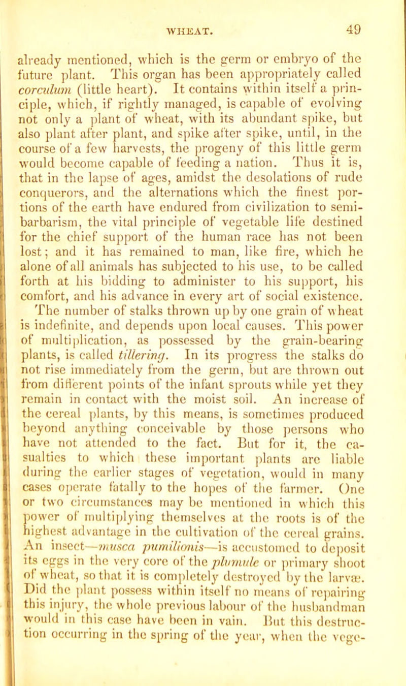 already mentioned, which is the germ or embryo of the future plant. This organ has been appropriately called coTCulum (little heart). It contains within itself a pi'in- ciple, which, if rightly managed, is capable of evolving not only a plant of wheat, with its abundant spike, but also plant after plant, and spike alter spike, until, in the course of a few harvests, the progeny of this little germ would become capable of feeding a nation. Thus it is, that in the lapse of ages, amidst the desolations of rude conquerors, and the alternations which the finest por- ) tions of the earth have endured from civilization to semi- barbarism, the vital principle of vegetable life destined ifor the chief support of the human race has not been lost; and it has remained to man, like fire, which he alone of all animals has subjected to his use, to be called forth at his bidding to administer to his su))port, his I comfort, and his advance in every art of social existence. 1 The number of stalks thrown up by one grain of wheat I is indefinite, and depends upon local causes. This power of multiplication, as possessed by the grain-bearing plants, is called tillering. In its progress the stalks do not rise immediately from the germ, but are thrown out from ditlerent points of the infant sprouts while yet they I remain in contact with the moist soil. An increase of the cereal plants, by this means, is sometimes produced beyond anything conceivable by those persons who have not attended to the fact. But for it, the ca- sualties to which these important plants arc liable during the earlier stages of vegetation, would in many 1 cases operate fatally to the hopes of the farmer. One or two circumstances may be mentioned in which this power of multi|)lying themselves at the roots is of the highest advantage in the cultivation of the cereal grains. ! An insect—wH/.vcrt jmmilionis—K accustomed to deposit j its eggs in the very core of the phnnulc or primary shoot of wheat, so that it is completely destroyed by the larva:!, j Did the plant possess within itself no means of repairing I this injury, the whole [)rcvious labour of the husbandman j would in this case have been in vain. But this destruc- ! tion occurring in the spring of the year, when the vege-