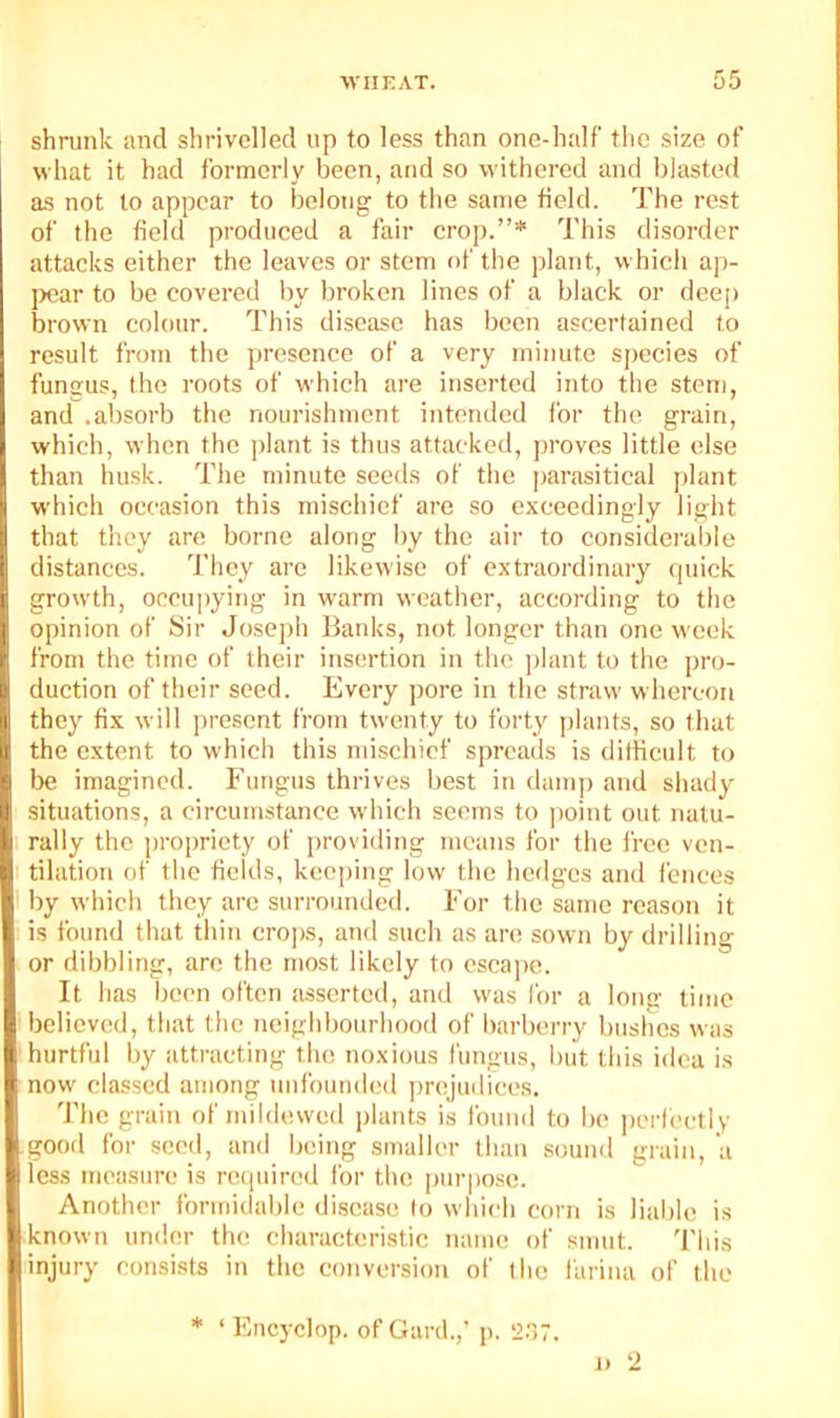 WIIKAT. shrunk and shrivelled up to less than one-half the size of what it had formerly been, and so withered and blasted as not to appear to belong to the same field. The rest of the field produced a fair crop.”* This disorder attacks either the leaves or stem of the plant, which ap- jK!ar to be covered by broken lines of a black or deep brown colour. This disease has been ascertained to result from the presence of a very minute species of fungus, the roots of which are inserted into the stem, and .absorb the nourishment intended for the grain, which, when the plant is thus attacked, proves little else than husk. The minute seeds of the parasitical plant which occasion this mischief are so exceedingly light that they are borne along by the air to considerable distances. They are likewise of extraordinary quick growth, occupying in warm weather, according to the opinion of Sir Joseph Banks, not longer than one week from the time of their insertion in the j)lant to the pro- duction of their seed. Every pore in the straw whereon they fix will jirescnt from twenty to forty plants, so that the extent to which this mischief spreads is difficult to Ije imagined. Fungus thrives best in dump and shady situations, a circumstance which seems to |)oint out natu- rally the jjropriety of providing means for the free ven- tilation of the fields, keeping low the hcilgcs and fences by which they are surrounded. For the same reason it is found that thin crops, and such as are sown by drilling or dibbling, are the most likely to csca])e. It has been often asserted, and was for a long time believed, that the neighbourhood of barberry bushes was hurtful by attracting the noxious fungus, l)ut this idea is now classed among mifoun(l(!(l i)rejudices. The grain of mildewed plants is found to be ])crlectly good for seed, and being smaller than sound grain, a less measure is re(|uired for the purpo.se. Another formidable disease to which corn is liable is known under the characteristic name of smut. 'I'his injury consists in the conversion of the farina of the * ‘ Encyclop. of Card.,’ p. 2.^7. 1) 2