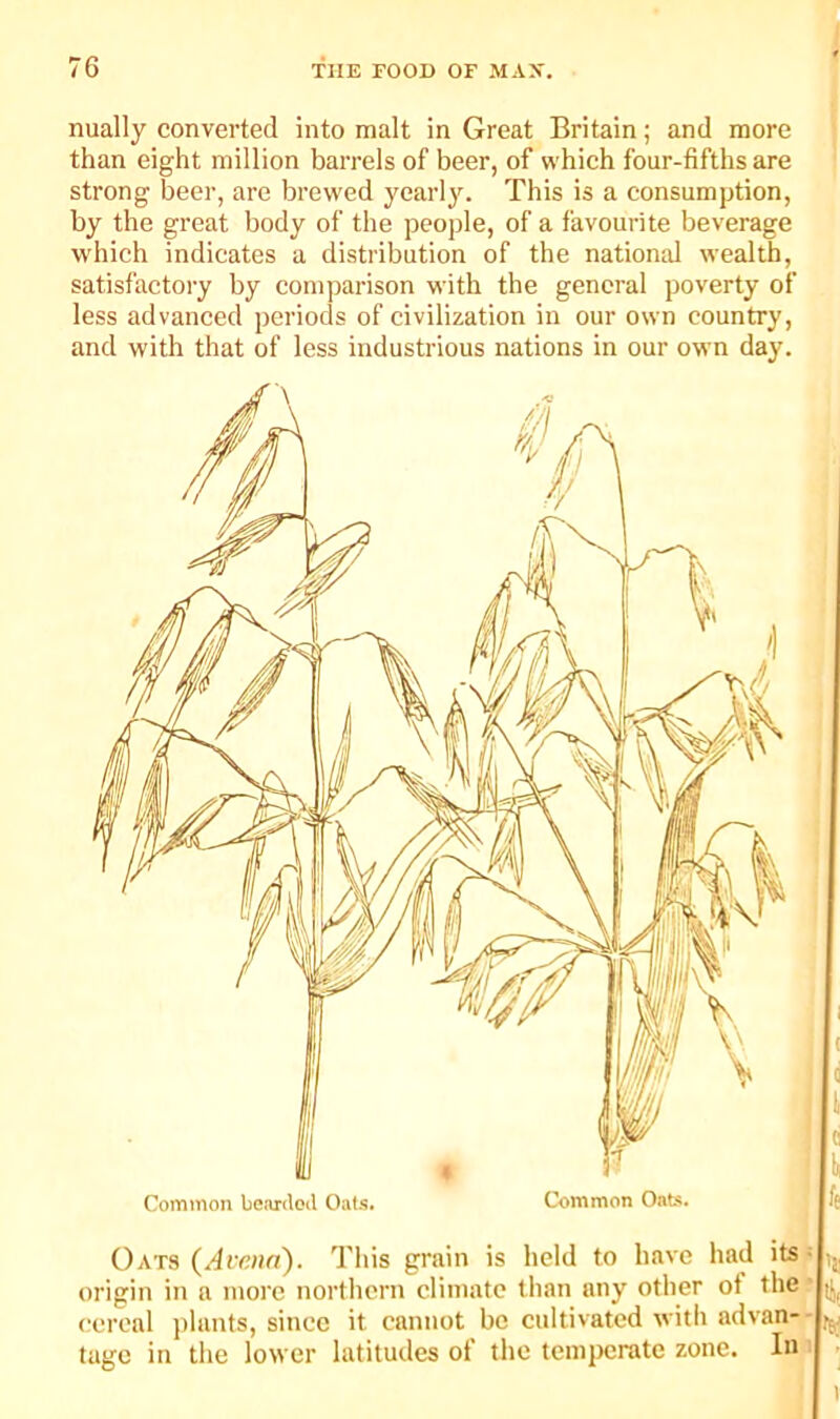 nually converted into malt in Great Britain; and more than eight million barrels of beer, of which four-fifths are strong beer, are brewed yearly. This is a consumption, by the great body of the peoj)le, of a favourite beverage which indicates a distribution of the national wealth, satisfactory by comparison with the general poverty of less advanced periods of civilization in our own country, and with that of less industrious nations in our own day. Oats (Avr.na). This grain is held to have had its origin in a more northern climate than any other of the cereal plants, since it cannot be cultivated with advan- tage in the lower latitudes of the temperate zone. In