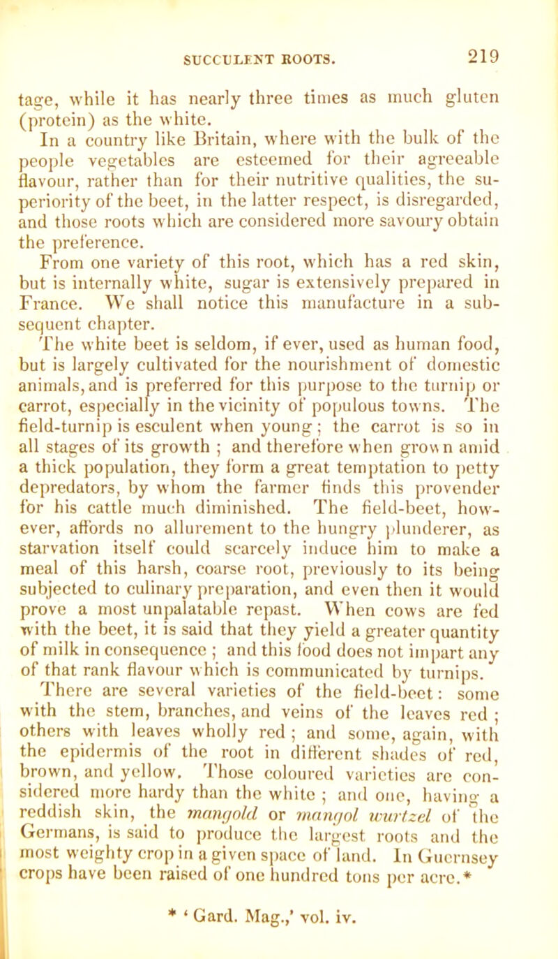 tage, while it has nearly three times as much gluten (protein) as the white. In a country like Britain, where with the bulk of the people vegetables are esteemed for their agreeable flavour, rather than for their nutritive qualities, the su- periority of the beet, in the latter respect, is disregarded, and those roots which are considered more savoury obtain the preference. From one variety of this root, which has a red skin, but is internally white, sugar is extensively prepared in France. We shall notice this manufacture in a sub- sequent chapter. The white beet is seldom, if ever, used as human food, but is largely cultivated for the nourishment of domestic animals,and is preferred for this purpose to the turnip or carrot, especially in the vicinity of populous towns. The field-turnip is esculent when young; the carrot is so in all stages of its growth ; and therefore when grov\n amid a thick population, they form a great temptation to j)etty depredators, by whom the farmer finds this provender for his cattle much diminished. The field-beet, how- ever, affords no allurement to the hungry jilunderer, as starvation itself could scarcely induce liim to make a meal of this harsh, coarse root, previously to its being subjected to culinary i)reparation, and even then it would prove a most unpalatable repast. When cows are fed with the beet, it is said that they yield a greater quantity of milk in consequence ; and this food does not impart any of that rank flavour which is communicated by turnips. There are several varieties of the field-beet: some with the stem, branches, and veins of the leaves red ; others with leaves wholly red ; and some, again, with the epidermis of the root in dittcrent shades of red, brown, and yellow. Those coloured varieties are con- sidered more hardy than the white ; and one, having a reddish skin, the mangold or mnngol wurtzcl of the Germans, is said to ])roduce the largest roots and the most weighty crop in a given si)ace of land. In Guernsey cro[)s have been raised of one hundred tons per acre.* * ‘ Card. Mag.,’ vol. iv.