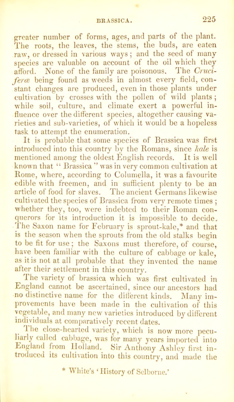 greater number of forms, ages, and parts of the plant. The roots, the leaves, the stems, the buds, are eaten raw, or dressed in various ways; and the seed of many species are valuable on aecount of the oil which they atfoid. None of the family are poisonous. The Cnici- fercB being found as weeds in almost every field, con- stant changes are produced, even in those plants under cultivation by crosses with the pollen of wild i)lants; while soil, culture, and climate exert a powerful in- fluence over the different species, altogether causing va- rieties and sub-varieties, of which it would be a hopeless task to attemjjt the enumeration. It is probable that some species of Brassica was first introduced into this country by the Romans, since hale is mentioned among the oldest English records. It is well known that “ Brassica ” was in very common cultivation at Rome, where, according to Columella, it was a favourite edible with freemen, and in sufficient plenty to be an article of food for slaves. The ancient Germans likewise cultivated the species of Brassica from very remote times ; whether they, too, were indebted to their Roman con- cpierors i'or its introduction it is impossible to decide. The Saxon name for February is sprout-kale,* and that is the season when the sprouts from the old stalks begin to be fit for use; the Saxons must therefore, of course, have been familiar with the culture of cabbage or kale, as itis not at all probable that they invented the name after their settlement in this country. 1 he variety of brassica which was first cultivated in England cannot be ascertained, since our ancestors had no distinctive name for the difierent kinds. Many im- provements have been made in the cultivation of this vegetable, and many new varieties introduced by different individuals at comparatively recent dates. I he close-hearted variety, which is now more pecu- liarly called cabijage, was for many years imported into England from Holland. Sir Anthony Ashley first in- troduceu its cultivation into this country, and made the * White’s ‘ History of Selbonie.’