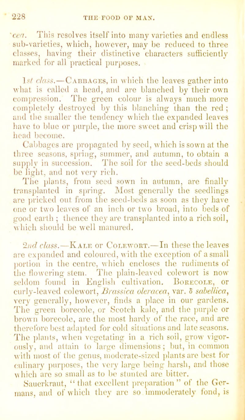 'ccn. Tliis resolves itself into many varieties and endless sub-varieties, which, however, may be reduced to three classes, having their distinctive characters sufficiently marked for all practical purposes. Is/ c/rtss.—Cabbages, in which the leaves gather into wliut is called a head, and arc blanched by their own coni])ression. The green colour is always much more completely destroyed by this l)lanching than the red ; and the smaller the tendency which the expanded leaves have to blue or purple, the more sweet and crisp will the head become. Cabbages arc projtagatcd by seed, which is sown at the three seasons, spring, summer, and autumn, to obtain a supply in succession, 'i'he soil for the seed-beds should be light, and not very rich. The plants, from seed sown in autumn, are finally transplanted in spring. ]\Iost generally the seedlings are ])rickcd out from the seed-beds as soon as they have one or two leaves of an inch or two broad, into beds of good earth ; thence they arc transj)lanted into a rich soil, which should be well manured. 2nd class.—Kale or Colf.wort.—In these the leaves are expanded and coloui'cd, w ith the cxce])tion of a small jjortion in the centre, winch encloses the rudiments of the dowering stem. The plain-leaved colewort is now seldom I'ound in English cultivation. IIorecoi.e, or curly-leaved colewort, Umssira olcraccn, var. S sabcliica, very generally, however, finds a ])lace in our gardens. The green borecole, or Scotch kale, and the jmrple or brown borecole, are the most hardy of the race, and arc therefore best a(lai)ted for cold situations and late seasons. The ])lants, when v-egetating in a rich soil, grow vigor- ously, and attain to large dimensions; but, in common with most of the genus, moderate-sized plants are best for cidinary pui'jioscs, the very large being harsh, and those which arc so small as to be stunted are bitter. Sauerkraut, “that e.xeellent prei)aration ” of the Ger- mans, and oi’w hich they are so immotleratcly fond, is