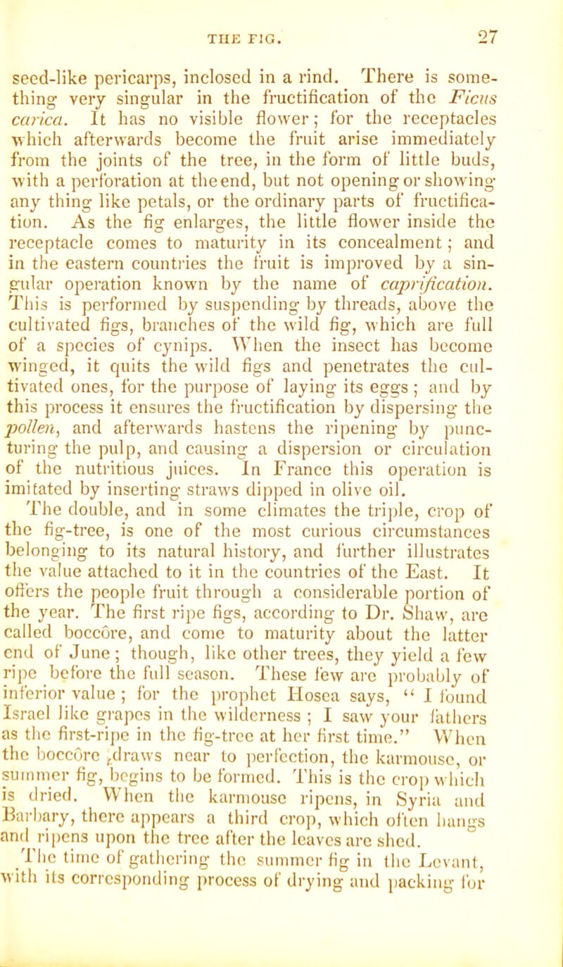 seed-like pericarps, inclosed in a rind. There is some- thing very singular in the fructification of the Ficus ccirica. It has no visible flower; for the receptacles which afterwards become the fruit arise immediately from the joints of the tree, in the form of little buds, with a perforation at the end, but not opening or showing any thing like petals, or the ordinary parts of fructifica- tion. As the fig enlarges, the little flower inside the receptacle comes to maturity in its concealment; and in the eastern countries the fruit is improved by a sin- gular opei’ation known by the name of caprification. This is performed by suspending by threads, above the cultivated figs, branches of the wild fig, which are full of a species of cynips. When the insect has become winged, it quits the wild figs and penetrates the cul- tivated ones, for the purpose of laying its eggs ; and by this process it ensures the fructification by dispersing the pollen, and afterwards hastens the ripening by punc- turing the pulp, and causing a dispersion or circulation of the nutritious juices. In France this operation is imitated by inserting straws dipped in olive oil. The double, and in some climates the trijfie, crop of the fig-tree, is one of the most curious circumstances belonging to its natural history, and further illustrates the value attached to it in the countries of the East. It oft'ers the people fruit through a considerable portion of the year. The first ripe figs, according to Dr. Shaw, are called boccore, and come to maturity about the latter end of June ; though, like other trees, they yield a few ripe before the full season. These few are probably of inferior value ; for the prophet Hosea says, “ I found Israel like grapes in the wilderness ; I saw your lathers as the first-ripe in the fig-tree at her first time.” When the boccore ^draws near to perfection, the karmousc, or summer fig, tjcgins to be formed. This is the crop which is dried. When the karmousc ripens, in Syria and Bai’bary, there appears a third crop, which often hangs and ripens upon the tree after the leaves are shed. 'I he time of gathering the summer fig in the Levant, with its corresponding process of diying and packing for