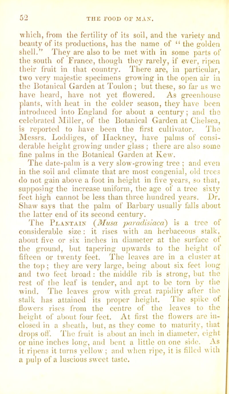 which, from the fertility of its soil, and tlie variety and beauty of its productions, has the name of “ the golden shell.” They arc also to be met with in some parts of the south of France, though they rarely, if ever, ri[>en their fruit in that country. There are, in particular, two very majestic specimens growing in the 0])en air in the Botanical Garden at Toulon ; but these, so far us we have heard, have not yet flowered. As greenhouse plants, with heat in the colder season, they have been introduced into England for about a century; and the celebrated Miller, of the Botanical Garden at Chelsea, is reported to have been the first cultivator. The Messrs. Loddiges, of Hackney, have palms of consi- derable height growing under glass ; there arc also some fine palms in the Botanical Garden at Kew. The date-|)alm is a very slow-growing tree ; and even in the soil and climate that are most congenial, old trees do not gain above a foot in height in five jmars, so that, supposing the increase uniform, the age of a tree sixty feet high cannot be less than three hundred years. Dr. Shaw says that the palm of Barbary usually falls about the latter end of its second century. The Peantain {Musa paradisiaca) is a tree of considerable size: it rises with an herbaceous stalk, about five or si.x inches in diameter at the surface of the ground, but tajtcring upwards to the height of fifteen or twenty feet. The leaves arc in a cluster at the to]i; they ai'e very large, being about six feet long and two feet broad : the middle rib is strong, but the rest of the leaf is tender, and a])t to be torn by the wind. The leaves grow with great ra])idity after the stalk has attained its ))ro])cr height, 'i'he spike ot flowers rises from the centre of the leaves to the height of about four feet. At first the flowers are in- closed in a shealh, but, as they come to maturity, that drops oil’. The I’ruit is about an inch in diameter, eight or nine inches long, ami bent a little on one side. -Vs it rijicns it turns yellow ; and when rijie, it is filled with a jHilj) of a luscious sweet taste.