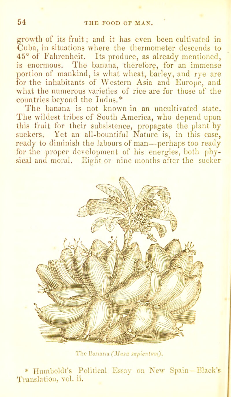 growth of its fruit; ami it has even been cultivated in Cuba, in situations where the thermometer descends to 45° of Fahrenheit. Its ]n'oducc, as already mentioned, is enormous. The banana, therefore, for an immense portion of mankind, is what wheat, barley, and rye are for the inhabitants of Western Asia and Europe, and w hat the numerous varieties of rice are for those of the countries beyond the Indus.* The banana is not known in an uncultivated state. The wildest tribes of South America, who depend upon this fruit for their subsistence, propagate the plant by suckers. Yet an all-bountiful Nature is, in this case, ready to diminish the labours of man—perhaps too ready for the proper developiment of his energies, both phy- sical and moral. Eight or nine months alter the sucker Tlu' Ihn.ina ('J/t.-i.T ♦ Ilumboklt's I’olilical Esr.ay on New Spain - Black's Translation, vol. ii.