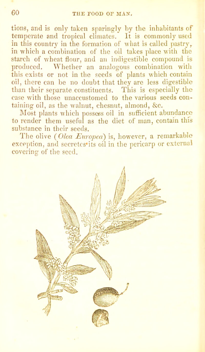 tions, and is only taken sparingly by the inhabitants of temperate and tropical climates. It is commonly used in this countiy in the formation of what is called ))astry, in which a combination of the oil takes place with the starch of wheat flour, and an indigestible compound is produced. Whether an analogous combination with this exists or not in the seeds of plants which contain oil, there can be no doubt that they are less digestible than their separate constituents. This is especially the case with those unaccustomed to the various seeds con- taining oil, as the walnut, chesnut, almond, &c. JNIost plants which possess oil in sufficient abundance to render them useful as the diet of man, contain this substance in their seeds. The olive {Olea Unropea) is, however, a remarkable cxcejition, and secrctcs'its oil in the pericarp or external covering of the seed.