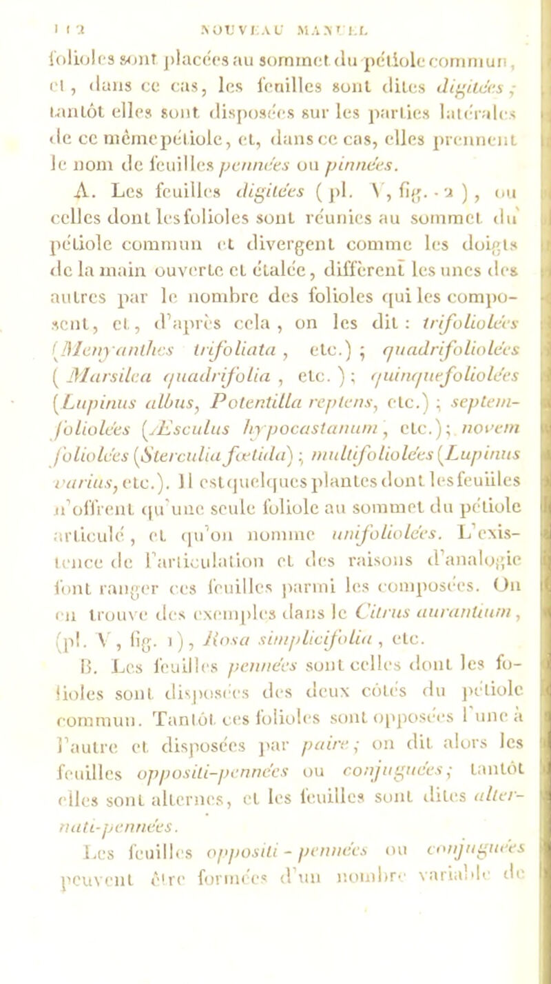 folioles sont j)lacéesau sommet du pciiolecommun, cl, dans ce cas, les feriillcs sont dites ^ tantôt elles sont, disposées sur les parties latc'rale.s lie ce nicmepéliole, et, dansée cas, elles prennent le nom de feuilles pennees ou pinnees. A. Les feuilles cligilces ( j)l. \ , fji;. . a ) , ou celles dont les folioles sont re'unies au sommet du pétiole commun et divergent comme les doigts <lc la main ouverte et étalée, diffèrenî les unes de» autres par le nombre des folioles t[ui les compo- ■sent, et, d’apres cela, on les dit: trifoliolccs [31cnya)iÛics trijhluita , etc.) ; fjimdrifoliolecs [ Marsika (juadrifolia , etc. ) ; f/uinriuffoliokes [Ltipinus atùns, Potcntilla replcnx, etc.) ; sepleni- foliukex {^jEscuIus In pocastainwi, etc.); noi’ein l’oliokcs (Sterculiafœtidti) ; midüfoUolcts{^Lupinus vtirius, etc.). 11 est(]uelques plantes dont lesfeuiiles n’offrent ((u'uiie seule foliole au sommet du pétiole .'irticulé, et ipi’on nomme iinijotiokcs. L’exis- icnce de rarliculalion et des raisons d’analogie font ranger ces l'eiiilles |)armi les composées. On en lrou\ e îles exemples dans le Cilrus (inranlimn, (pl. V, lig. t), liosci xiiiiplicifidiu , etc. lî. Les feuilles peniiecs sont celles dont les fo- lioles sont dispo.si^es des deux côtés du judiolc commun. Tantôt, ces folioles sont opposées 1 une a l’autre et disposées ]>:ir paire; on dit alors les feuilles opposili-pennccx ou conjutraces ; tantôt elles sont alternes, et les feuilles sont dites aüer- naU-pennees. Les léuilles opposili - pt iiiiccx ou conjii^iiers peuvent être formées d’un nombr'' varia’ile de