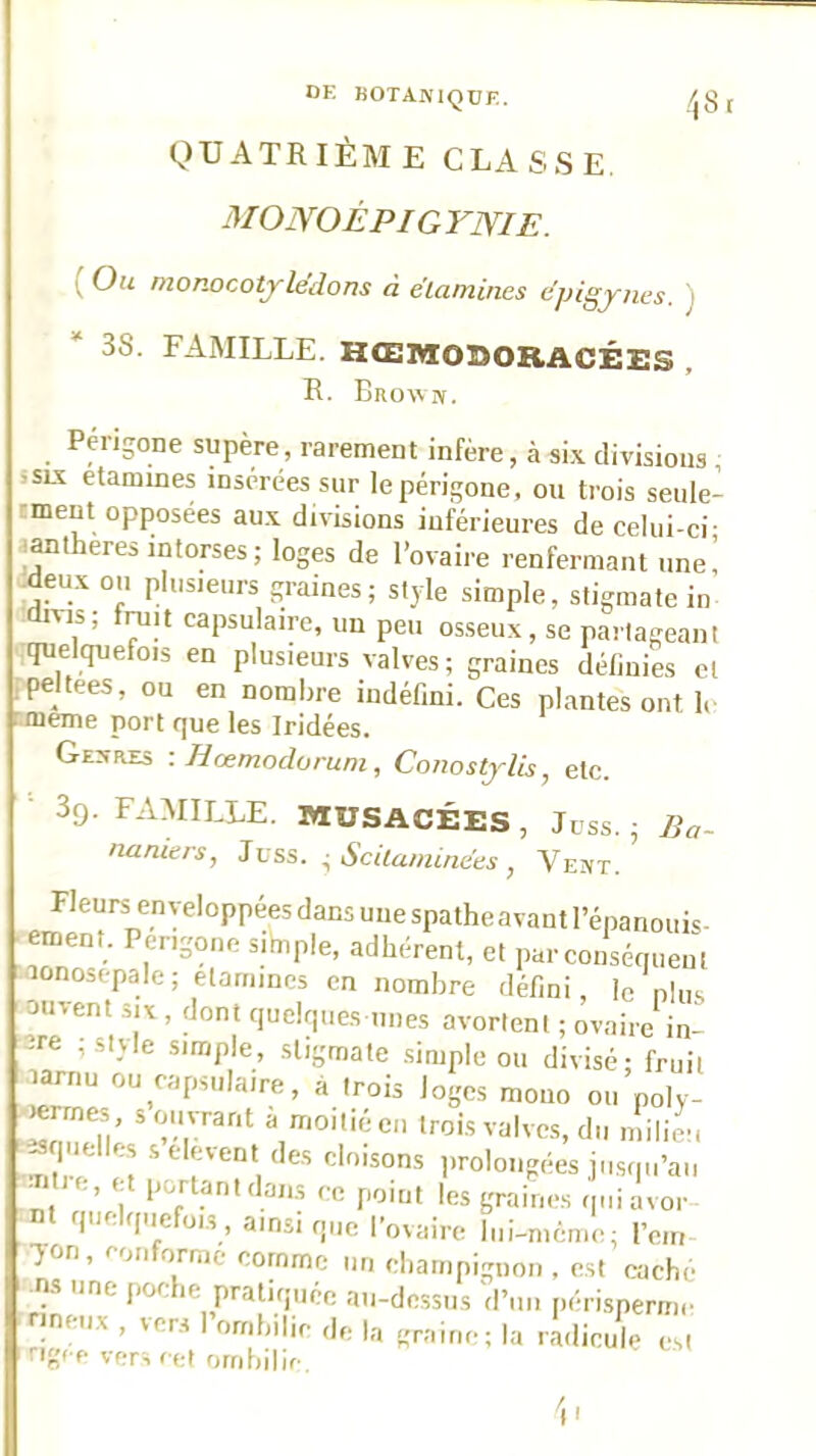 QUATRIÈME CLASSE. MONOÉPIGYNIE. ( Ou monocotyledons à étamines éjjigynes. i 38. FAMILLE. HŒMOBORACÉES , R. Bkowîv. Péiigone supère, rarement infère, à si.x. divisions , ssix etamines insérées sur lepérigone, ou trois seule- iment opposées au.v divisions inférieures de celui-ci- iMtheres intorses ; loges de l’ovaire renfermant une! ;deux ou plusieurs graines; style simple, stigmate in divis; frait capsulaire, un peu osseux, se partageant quelquefois en plusieurs valves; graines détiuies et .peltees, ou en nombre indéfini. Ces plantes ont 1. r.meme port que les Iridées. Ge:ïres -.Hœmodorum, Conostylis, etc. 3g. FAMILLE. MUSACÉES , Jcss. ; Ba- naniers, Jüss. ^Scitaminées, Vext. Fleurs enveloppées dans une spatheavant l’énanouis- ement. Perigone sibiple, adhérent, et par conséquent aonosepale; elammes en nombre défini, le nhis oiivent SIX , dont quelques unes avortent ; ovaire in- Mre ; style simple, stigmate .simple ou divisé; fruit larriu ou capsulaire, à trois loges mono ou poly- .-^rmes, s ouvrant à moitié en trois valves, du milieu quelles s elevent des cloisons jiroloiigées jn.squ’aii itie, et portant dans ce point les graines qniavor nt quelquefoi.s, ainsi que l’ovaire bii-niéme; rem •)on, conforme comme un champignon , est cache I ^ns une poche pratiquée au-dessus d’un périspermc inciix , vers ombilic de la graine; la radicule est I'■igce vers cet ombilic.