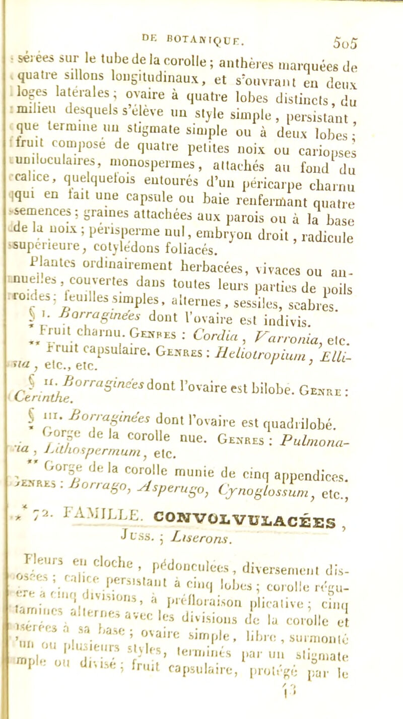 sérees sur le tube de la corolle ; anthères .narquées de quatre sillons longitudinaux, et s^onvrant en deux loges latérales ; ovaire à quatre lobes distincts, du milieu desquels s elève un style simple, persistant, que termine un stigmate simple ou à deux lobes • iruit composé de quatre petites noix ou carioiises uniloculaires, inonosperraes, attachés au fond du calice, quelquelois entourés d’un péricarpe charnu iqui en tait une capsule ou baie renfermant quatre .^mences; graines attachées aux parois ou à la base cde la noix ; pensperme mil, embryon droit, radicule -supeiieure, cotylédons foliacés. Plantes ordinairement herbacées, civaces ou an- muei.es, couvertes dans toutes leurs parties de poils roides; teuilles simples, alternes , sessües, soahi4 ^ I. Borragmées dont l’ovaire est indivis ^^f rua charnu Gejîpes: CorJia , F-arronia, e\c. fruit capsulaire. Ge.xres ; Htlioironium , Elli- ■ , etc., etc. ’ l’ovaire est bilobe. Genre ; § m. Borraginëes dont l’ovaire est quadrilobé. Gorp de la corolle nue. Genres ; Pulniona- ■ la , J^Uhnipermum^ etc. îenrI^-Th appendices. . Borrago, Asperugo, Cjnoglossum, etc., l AMILLh;. CONVOI.VUIACÉES , J CSS. ; Liserons. Tieurs en cloche, pédoncnlees, diversement dis- s,e., rahre persistant à cinq lobes; corolle régu- tarribics*'*ti *'*^''*'*’’ '* P'éUmaison plicative; cinq ’nii il,'- simple, libre , suinionté '«'n-inés par un sli..mate «nplo ou di-.ise; fnut capsulaire, \,rolégé 1^. le ' 'J I ■