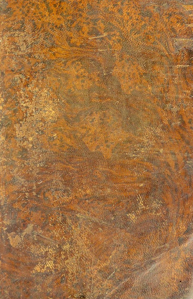 digitised image 1