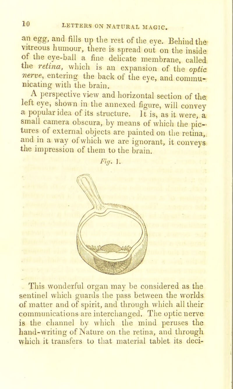 an egg, and fills up the rest of the eye. Behind the vitreous humour, there is spread out on the inside of the eye-bail a fine delicate membrane, called the retina, which is an expansion of the opiic nerve, entering the back of the eye, and commu- nicating with the brain. A perspective view and horizontal section of the left eye, shown in tlie annexed figure, will convey a popular idea of its structure. It is, as it were, a small camera obscura, by means of which the pic- tures of external objects are painted on the retina,, and in a way of which we are ignorant, it conveys tlie impression of them to the brain. Fiff. ]. This wonderful organ may be considered as the sentinel which guards the pass between the worlds of matter and of spirit, and through which all their communications are interchanged. The optic nerve is the channel by which the mind peruses the hand-writing of Nature on the retina, and tlirough which it transfers to that material tablet its deci-