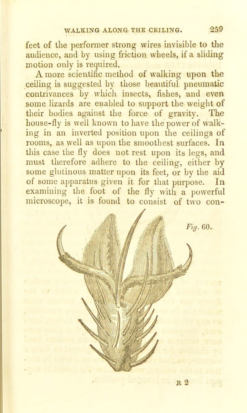 feet of the performer strong wires invisible to the audience, and by using friction wheels, if a sliding motion only is required. A more scientific method of walking upon the ceiling is suggested by those beautiful pneumatic contrivances by which insects, fishes, and even some lizards are enabled to support the weight of their bodies against the force of gravity. The house-fly is well known to have the power of walk- ing in an inverted position upon the ceilings of rooms, as well as upon the smoothest surfaces. In this case the fly does not rest upon its legs, and must therefore adhere to the ceiling, either by some glutinous matter upon its feet, or by the aid of some apparatus given it for that purpose. In examining the foot of the fly with a powerful microscope, it is found to consist of two con-