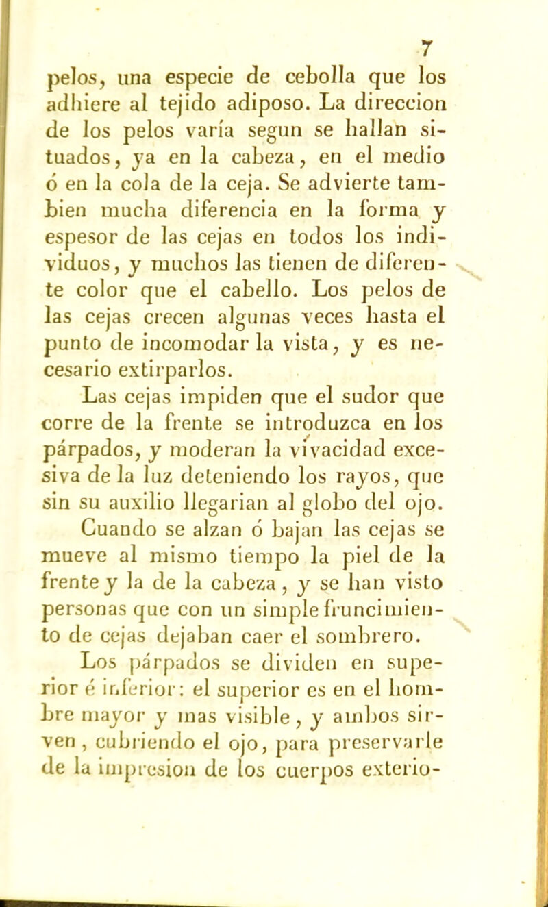 pelos, una especie de cebolla que los adhiere al tejido adiposo. La dirección de los pelos varía según se hallan si- tuados , ya en la cabeza, en el medio ó en la cola de la ceja. Se advierte tam- bién mucha diferencia en la forma y espesor de las cejas en todos los indi- viduos, y muchos las tienen de diferen- te color que el cabello. Los pelos de las cejas crecen algunas veces hasta el punto de incomodarla vista, y es ne- cesario extirparlos. Las cejas impiden que el sudor que corre de la frente se introduzca en los párpados, y moderan la vivacidad exce- siva de la luz deteniendo los rayos, que sin su auxilio llegarían al globo del ojo. Cuando se alzan 6 bajan las cejas se mueve al mismo tiempo la piel de la frente y la de la cabeza, y se han visto personas que con un simple fruncimien- to de cejas dejaban caer el sombrero. Los párpados se dividen en supe- rior é inferior: el superior es en el hom- bre mayor y mas visible, y ambos sir- ven , cubriendo el ojo, para preservarle de la impresión de los cuerpos exterio- \