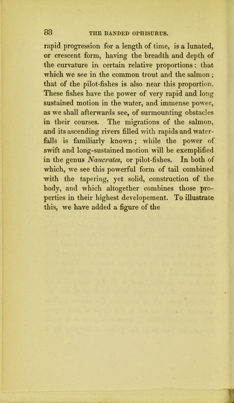 88 rapid progression for a length of time, is a lunated, or crescent form, having the breadth and depth of the curvature in certain relative proportions: that which we see in the common trout and the salmon ; that of the pilot-fishes is also near this proportion. These fishes have the power of very rapid and long sustained motion in the water, and immense power, as we shall afterwards see, of surmounting obstacles in their courses. The migrations of the salmon, and its ascending rivers filled with rapids and water- falls is familiarly known; while the power of swift and long-sustained motion will he exemplified in the genus Naucrates, or pilot-fishes. In both of which, we see this powerful form of tail combined with the tapering, yet solid, construction of the body, and which altogether combines those pro- perties in their highest developement. To illustrate this, we have added a figure of the