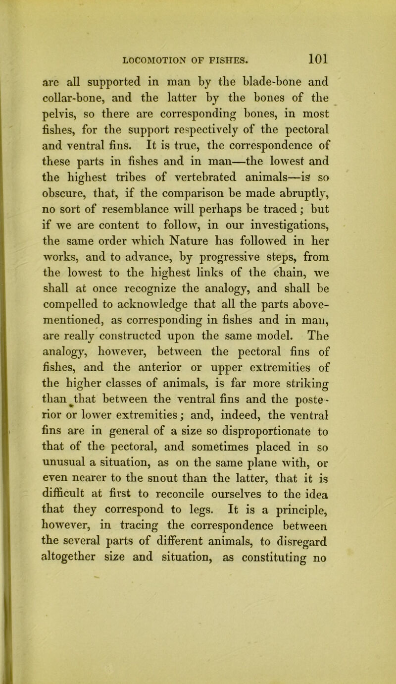 are all supported in man by the blade-bone and collar-bone, and the latter by the bones of the pelvis, so there are corresponding bones, in most fishes, for the support respectively of the pectoral and ventral fins. It is true, the correspondence of these parts in fishes and in man—the lowest and the highest tribes of vertebrated animals—is so obscure, that, if the comparison be made abruptly, no sort of resemblance will perhaps be traced; but if we are content to follow, in our investigations, the same order which Nature has followed in her works, and to advance, by progressive steps, from the lowest to the highest links of the chain, we shall at once recognize the analogy, and shall be compelled to acknowledge that all the parts above- mentioned, as corresponding in fishes and in man, are really constructed upon the same model. The analogy, however, between the pectoral fins of fishes, and the anterior or upper extremities of the higher classes of animals, is far more striking tkan^that between the ventral fins and the poste- rior or lower extremities; and, indeed, the ventral fins are in general of a size so disproportionate to that of the pectoral, and sometimes placed in so unusual a situation, as on the same plane with, or even nearer to the snout than the latter, that it is difficult at first to reconcile ourselves to the idea that they correspond to legs. It is a principle, however, in tracing the correspondence betAveen the several parts of different animals, to disregard altogether size and situation, as constituting no