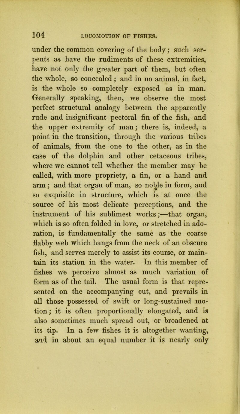 under the common covering of the body; such ser- pents as have the rudiments of these extremities, have not only the greater part of them, but often the whole, so concealed; and in no animal, in fact, is the whole so completely exposed as in man. Generally speaking, then, we observe the most perfect structural analogy between the apparently rude and insignificant pectoral fin of the fish, and the upper extremity of man; there is, indeed, a point in the transition, through the various tribes of animals, from the one to the other, as in the case of the dolphin and other cetaceous tribes, where we cannot tell whether the member may be called, with more propriety, a fin, or a hand and arm ; and that organ of man, so noble in form, and so exquisite in structure, which is at once the source of his most delicate perceptions, and the instrument of his sublimest works;—that organ, which is so often folded in love, or stretched in ado- ration, is fundamentally the same as the coarse flabby web which hangs from the neck of an obscure fish, and serves merely to assist its course, or main- tain its station in the water. In this member of fishes we perceive almost as much variation of form as of the tail. The usual form is that repre- sented on the accompanying cut, and prevails in all those possessed of swift or long-sustained mo- tion; it is often proportionally elongated, and is also sometimes much spread out, or broadened at its tip. In a few fishes it is altogether wanting, and in about an equal number it is nearly only