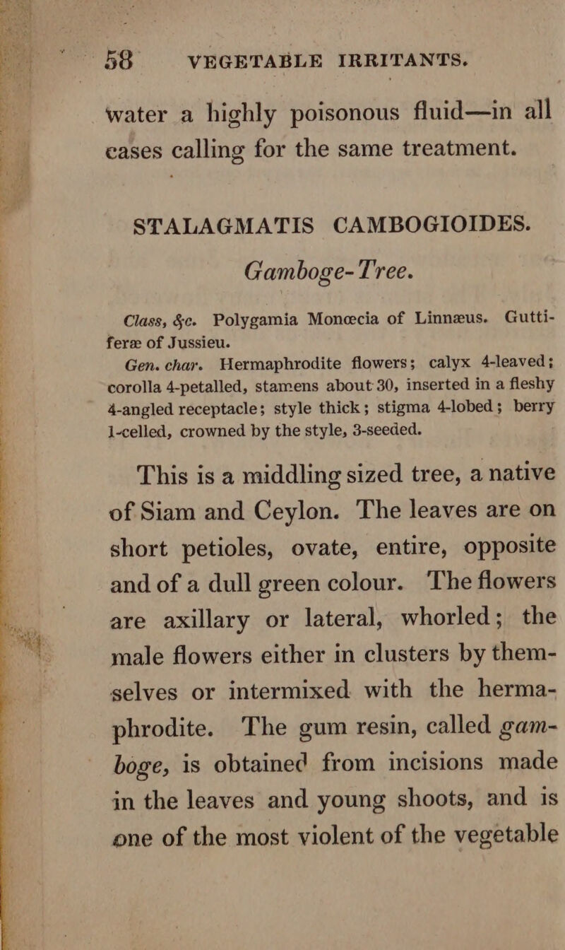 , : ~ water a highly poisonous fluid—in all STALAGMATIS CAMBOGIOIDES. Gamboge- Tree. Class, &amp;c. Polygamia Monecia of Linnezus. Gutti- Gen. char. Hermaphrodite flowers; calyx 4-leaved; corolla 4-petalled, stamens about 30, inserted in a fleshy 4-angled receptacle; style thick; stigma 4-lobed; berry l1-celled, crowned by the style, 3-seeded. This is a middling sized tree, a native of Siam and Ceylon. The leaves are on short petioles, ovate, entire, opposite and of a dull green colour. The flowers are axillary or lateral, whorled; the male flowers either in clusters by them- selves or intermixed with the herma- phrodite. The gum resin, called gam- boge, is obtained from incisions made in the leaves and young shoots, and is one of the most violent of the vegetable