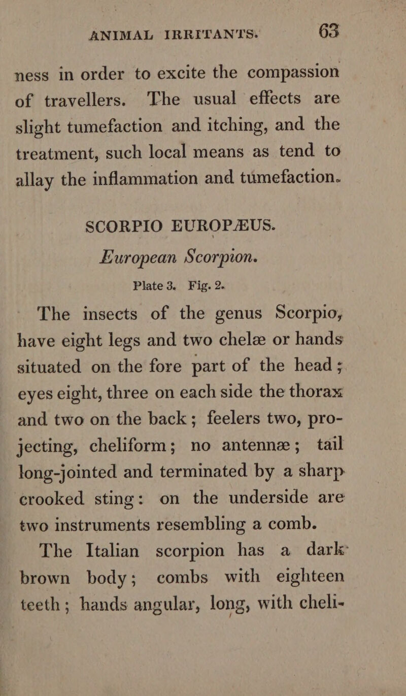 ness in order to excite the compassion of travellers. The usual effects are slight tumefaction and itching, and the treatment, such local means as tend to allay the inflammation and tumefaction. SCORPIO EUROPZEUS. European Scorpion. Plate 3. Fig. 2. The insects of the genus Scorpio, have eight legs and two chelz or hands situated on the fore part of the head; eyes eight, three on each side the thorax and two on the back; feelers two, pro- jecting, cheliform; no antenne; tail long-jointed and terminated by a sharp crooked sting: on the underside are two instruments resembling a comb. The Italian scorpion has a dark brown body; combs with eighteen teeth; hands angular, long, with cheli-