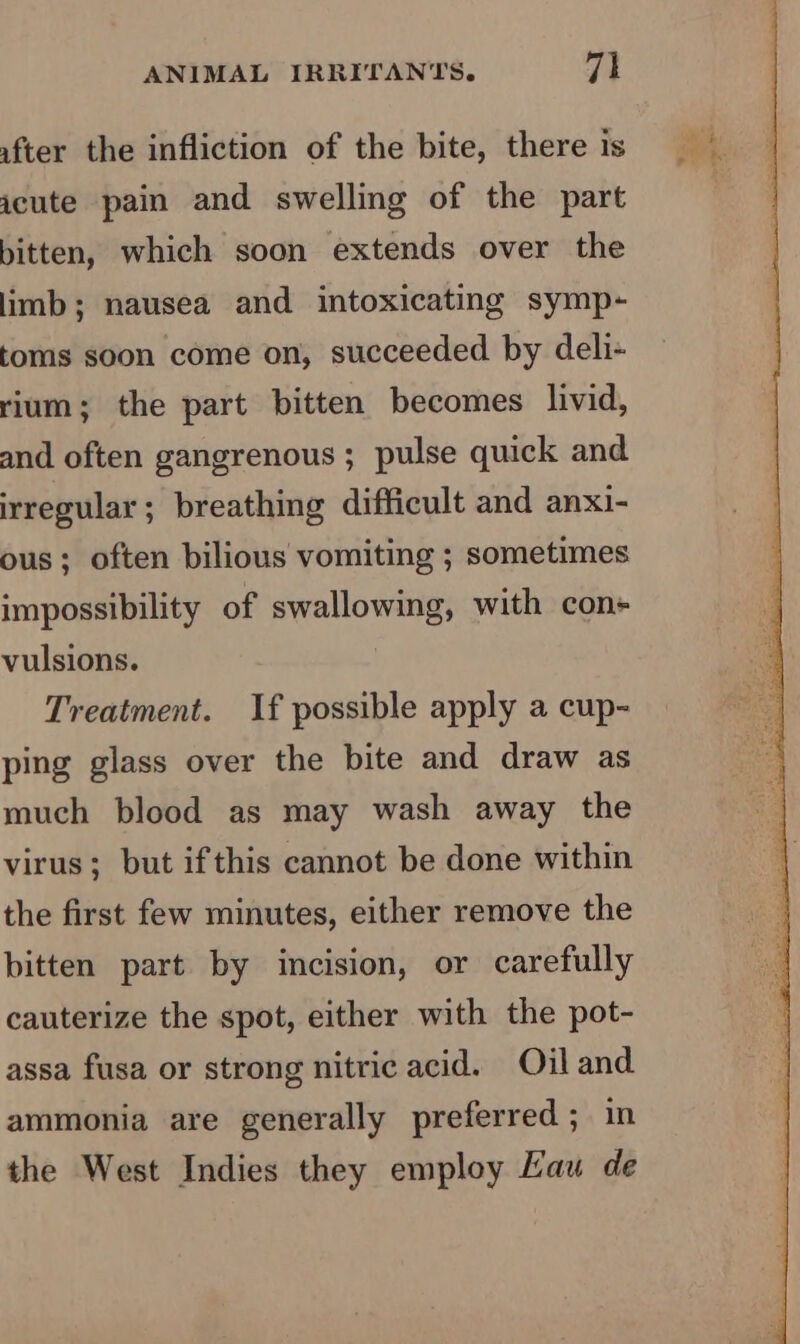 ufter the infliction of the bite, there is acute pain and swelling of the part bitten, which soon extends over the limb; nausea and intoxicating symp- toms soon come on, succeeded by deli- rium; the part bitten becomes livid, and often gangrenous ; pulse quick and irregular; breathing difficult and anxi- ous; often bilious vomiting ; sometimes impossibility of swallowing, with con+ vulsions. Treatment. If possible apply a cup- ping glass over the bite and draw as much blood as may wash away the virus; but ifthis cannot be done within the first few minutes, either remove the bitten part by incision, or carefully cauterize the spot, either with the pot- assa fusa or strong nitric acid. Oiland ammonia are generally preferred; in the West Indies they employ Eau de