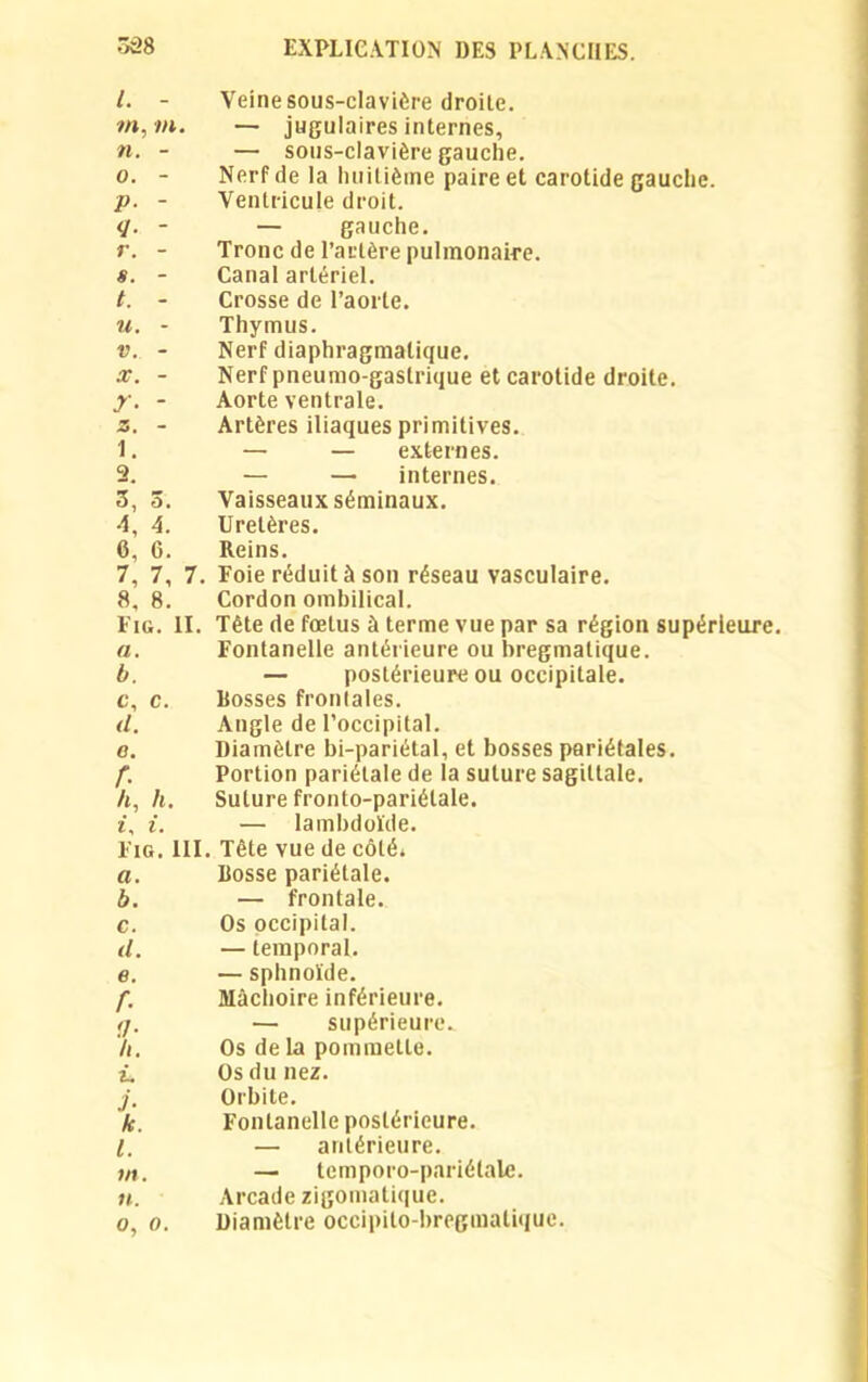 6 a, > u m. m. — jugulaires internes, n. - — sous-clavière gauche. Nerf de la huitième paire et carotide gauche. Ventricule droit. — gauche. Tronc de l’artère pulmonaire. s. - Canal artériel. t. - Crosse de l’aorte. il. - Thymus. v. - Nerf diaphragmatique. x. - Nerf pneumo-gastrique et carotide droite. y. - Aorte ventrale. z. - Artères iliaques primitives. 1. — — externes. 2. — — internes. 3, 3. Vaisseaux séminaux. 4, 4. Uretères. 6, 6. Reins. 7, 7, 7. Foie réduit à son réseau vasculaire. 8, 8. Cordon ombilical. Fig. II. Tête de fœtus à terme vue par sa région supérieure. a. Fontanelle antérieure ou bregmatique. b. — postérieure ou occipitale. c. c. Bosses frontales. d. Angle de l’occipital. o. Diamètre bi-pariétal, et bosses pariétales. f. Portion pariétale de la suture sagittale. /t, h. Suture fronto-pariétale. t, i. — lambdoïde. Fig. III. Tête vue de côté* a. Bosse pariétale. b. — frontale. c. Os occipital. d. — temporal. e. — sphnoïde. f. Mâchoire inférieure. tj. — supérieure. h. Os de la pommette. i. Os du nez. j. Orbite. k. Fontanelle postérieure. l. — antérieure. m. — temporo-pariétale. ». Arcade zigomatique. o, o. Diamètre occipilo-bregmalique.