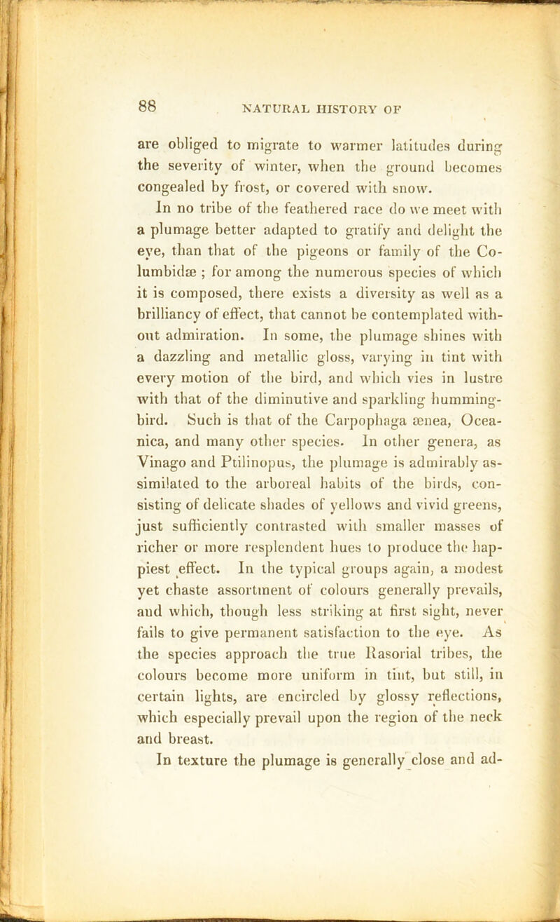 are obliged to migrate to warmer latitudes during the severity of winter, when the ground becomes congealed by frost, or covered with snow. In no tribe of the feathered race do we meet with a plumage better adapted to gratify and delight the eye, than that of the pigeons or family of the Co- lumbidae ; for among the numerous species of which it is composed, there exists a diversity as well as a brilliancy of effect, that cannot be contemplated with- out admiration. In some, the plumage shines with a dazzling and metallic gloss, varying in tint with every motion of the bird, and which vies in lustre with that of the diminutive and sparkling humming- bird. Such is that of the Carpophaga aenea, Ocea- nica, and many other species. In other genera, as Vinago and Ptilinopus, the plumage is admirably as- similated to the arboreal habits of the birds, con- sisting of delicate shades of yellows and vivid greens, just sufficiently contrasted with smaller masses of richer or more resplendent hues to produce the hap- piest effect. In the typical groups again, a modest yet chaste assortment of colours generally prevails, and which, though less striking at first sight, never fails to give permanent satisfaction to the eye. As the species approach the true Rasorial tribes, the colours become more uniform in tint, but still, in certain lights, are encircled by glossy reflections, which especially prevail upon the region of the neck and breast. In texture the plumage is generally close and ad-