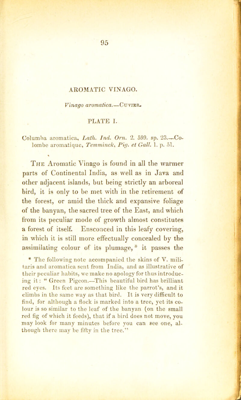 AROMATIC VINAGO. Vinago aromatica Cuvier. PLATE I. Columba aromatica. Lath. Ind. Orn. 2. 599. sp. 23—Co- lombe aromatique, Temminck, Pig. et Gull. 1. p. .51. The Aromatic Vinago is found in all the warmer parts of Continental India, as well as in Java and other adjacent islands, but being strictly an arboreal bird, it is only to be met with in the retirement of the forest, or amid the thick and expansive foliage of the banyan, the sacred tree of the East, and which from its peculiar mode of growth almost constitutes a forest of itself. Ensconced in this leafy covering, in which it is still more effectually concealed by the assimilating colour of its plumage,* it passes the * The following note accompanied the skins of V. mili- taris and aromatica sent from India, and as illustrative of their peculiar habits, we make no apology for thus introduc- ing it: “ Green Pigeon.—This beautiful bird has brilliant red eyes. Its feet are something like the parrot’s, and it climbs in the same way as that bird. It is very difficult to find, for although a flock is marked into a tree, yet its co- lour is so similar to the leaf of the banyan (on the small red fig of which it feeds), that if a bird does not move, you may look for many minutes before you can see one, al- though there may be fifty in the tree.”