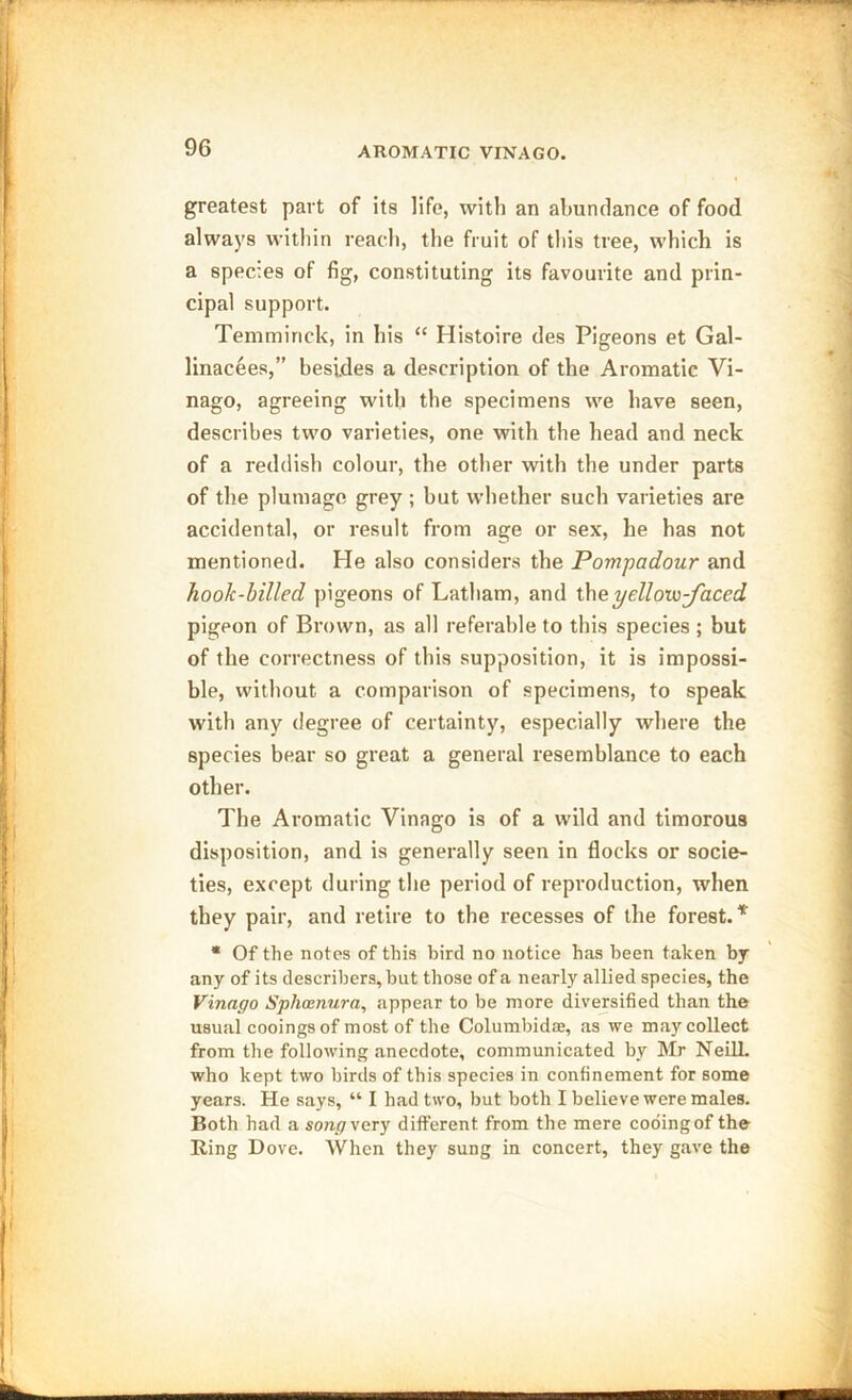 greatest part of its life, with an abundance of food always within reach, the fruit of this tree, which is a species of fig, constituting its favourite and prin- cipal support. Temminck, in his “ Ilistoire des Pigeons et Gal- linacees,” besides a description of the Aromatic Vi- nago, agreeing with the specimens we have seen, describes two varieties, one with the head and neck of a reddish colour, the other with the under parts of the plumage grey ; but whether such varieties are accidental, or result from age or sex, he has not mentioned. Fie also considers the Pompadour and hook-billed pigeons of Latham, and the yellow-faced pigeon of Brown, as all referable to this species ; but of the correctness of this supposition, it is impossi- ble, without a comparison of specimens, to speak with any degree of certainty, especially where the species bear so great a general resemblance to each other. The Aromatic Vinago is of a wild and timorous disposition, and is generally seen in flocks or socie- ties, except during the period of reproduction, when they pair, and retire to the recesses of the forest.* * Of the notes of this bird no notice has been taken by any of its describers, but those of a nearly allied species, the Vinago Sphasnura, appear to be more diversified than the usual cooingsof most of the Columbidae, as we may collect from the following anecdote, communicated by Mr Neill, who kept two birds of this species in confinement for some years. He says, “ I had two, but both I believe were males. Both had a song very different from the mere cooingof the Ring Dove. When they sung in concert, they gave the