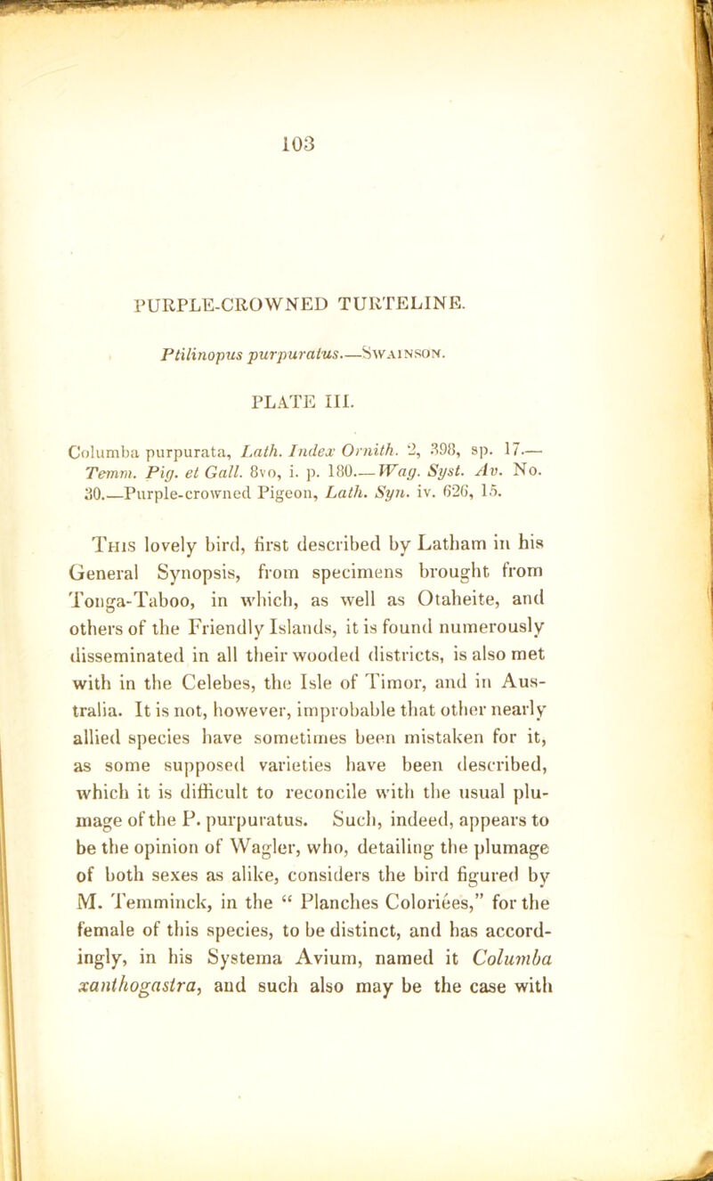 PURPLE-CROWNED TURTELINE. Ptilinopus purpuratus—SwainsOn. PLATE III. Columba purpurata, Lath. Index Ornith. 2, 398, sp. 17— Temm. Pig. et Gall. 8vo, i. p. 180.— Wag. Sgst. Av. No. 30 Purple-crowned Pigeon, Lath. Syn. iv. 626, 15. This lovely bird, first described by Latham in his General Synopsis, from specimens brought from Tonga-Taboo, in which, as well as Otaheite, and others of the Friendly Islands, it is found numerously disseminated in all their wooded districts, is also met with in the Celebes, the Isle of Timor, and in Aus- tralia. It is not, however, improbable that other nearly allied species have sometimes been mistaken for it, as some supposed varieties have been described, which it is difficult to reconcile with the usual plu- mage of the P. purpuratus. Such, indeed, appears to be the opinion of Wagler, who, detailing the plumage of both sexes as alike, considers the bird figured by M. Temminck, in the “ Planches Coloriees,” for the female of this species, to be distinct, and has accord- ingly, in his Systema Avium, named it Columba xanthogasira, and such also may be the case with