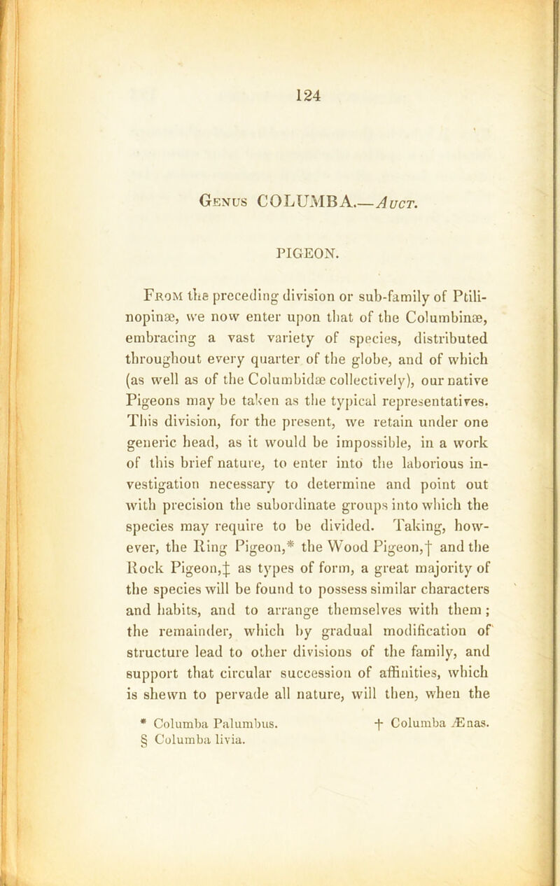 Genus COLUMBA.—Auct. PIGEON. From the preceding division or sub-family of Ptili- nopinae, we now enter upon that of the Columbinae, embracing a vast variety of species, distributed throughout every quarter of the globe, and of which (as well as of the Columbidae collectively), our native Pigeons may be taken as the typical representatives. This division, for the present, we retain under one generic head, as it would be impossible, in a work of this brief nature, to enter into the laborious in- vestigation necessary to determine and point out with precision the subordinate groups into which the species may require to be divided. Taking, how- ever, the Ring Pigeon,* the Wood Pigeon,| and the Rock Pigeon, J as types of form, a great majority of the species will be found to possess similar characters and habits, and to arrange themselves with them ; the remainder, which by gradual modification of' structure lead to other divisions of the family, and support that circular succession of affinities, which is shewn to pervade all nature, will then, when the * Columba Palumbus. -J- Columba yEnas. § Columba livia.