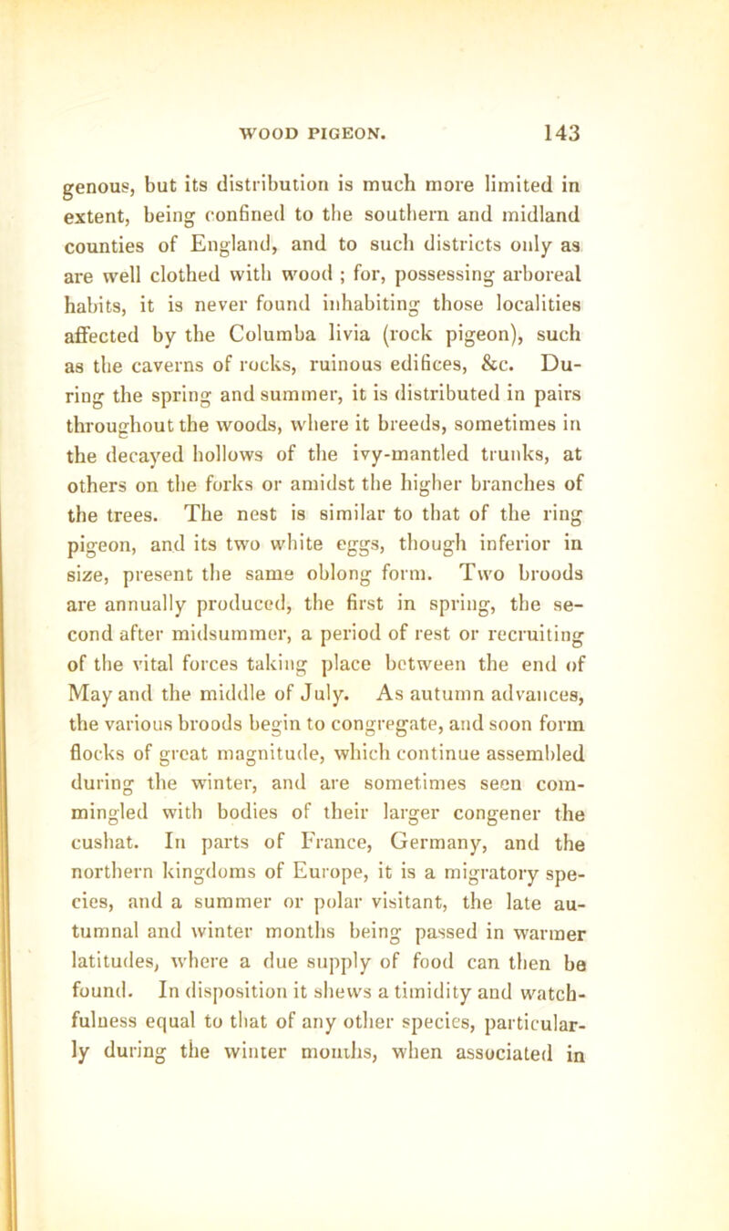 genous, but its distribution is much more limited in extent, being confined to the southern and midland counties of England, and to such districts only as are well clothed with wood ; for, possessing arboreal habits, it is never found inhabiting those localities affected by the Columba livia (rock pigeon), such as the caverns of rocks, ruinous edifices, &c. Du- ring the spring and summer, it is distributed in pairs throughout the woods, where it breeds, sometimes in the decayed hollows of the ivy-mantled trunks, at others on the forks or amidst the higher branches of the trees. The nest is similar to that of the ring pigeon, and its two white eggs, though inferior in size, present the same oblong form. Two broods are annually produced, the first in spring, the se- cond after midsummer, a period of rest or recruiting of the vital forces taking place between the end of May and the middle of July. As autumn advances, the various broods begin to congregate, and soon form flocks of great magnitude, which continue assembled during the winter, and are sometimes seen com- mingled with bodies of their larger congener the cushat. In parts of France, Germany, and the northern kingdoms of Europe, it is a migratory spe- cies, and a summer or polar visitant, the late au- tumnal and winter months being passed in warmer latitudes, where a due supply of food can then be found. In disposition it shews a timidity and watch- fulness equal to that of any other species, particular- ly during the winter mouths, when associated in