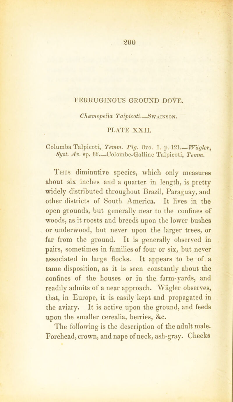 FERRUGINOUS GROUND DOVE. Chcemepelia Talpicoti Swainson. PLATE XXII. Columba Talpicoti, Temm. Pig. 8vo. 1. p. 121 Wcigler, Syst. Av. sp. 86—Colombe-Galline Talpicoti, Temm. This diminutive species, which only measures about six inches and a quarter in length, is pretty widely distributed throughout Brazil, Paraguay, and other districts of South America. It lives in the open grounds, but generally near to the confines of woods, as it roosts and breeds upon the lower bushes or underwood, but never upon the larger trees, or far from the ground. It is generally observed in pairs, sometimes in families of four or six, but never associated in large flocks. It appears to be of- a tame disposition, as it is seen constantly about the confines of the houses or in the farm- yards, and readily admits of a near approach. Wiigler observes, that, in Europe, it is easily kept and propagated in the aviary. It is active upon the ground, and feeds upon the smaller cerealia, berries, &c. The following is the description of the adult male. Forehead, crown, and nape of neck, ash-gray. Cheeks