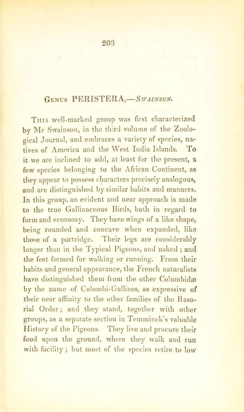 Genus PERISTERA,—Sjpainsoh. This well-marked group was first characterized by Mr Swainson, in the third volume of the Zoolo- gical Journal, and embraces a variety of species, na- tives of America and the West India Islands. To it we are inclined to add, at least for the present, a few species belonging to the African Continent, as they appear to possess characters precisely analogous, and are distinguished by similar habits and manners. In this group, an evident and near approach is made to the true Gallinaceous Birds, both in regard to form and economy. They have wings of a like shape, being rounded and concave when expanded, like those of a partridge. Their legs are considerably longer than in the Typical Pigeons, and naked ; and the feet formed for walking or running. From their habits and general appearance, the French naturalists have distinguished them from the other Columbidrn by the name of Colombi-Gallines, as expressive of their near affinity to the other families of the Raso- rial Order; and they stand, together with other groups, as a separate section in Temminck’s valuable History of the Pigeons. They live and procure their food upon the ground, where they walk and run with facility ; hut most of the species retire to low