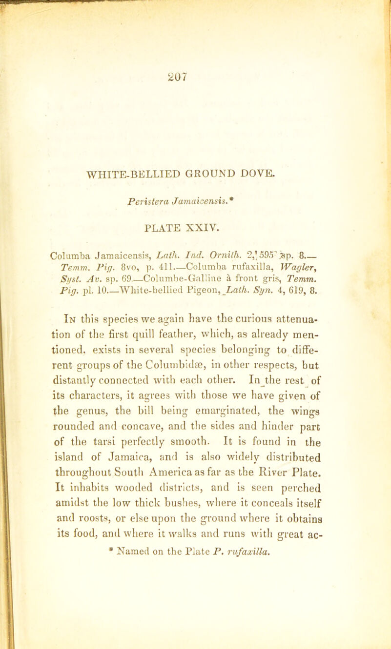 207 WHITE-BELLIED GROUND DOVE. Peris ter a Jamaicensis.* PLATE XXIV. Columba Jamaicensis, Lath. Ind. Ornilh. 2,'595’jSp. 8— Temm. Pig. 8vo, p. 411—Columba rufaxilla, Wagler, Sgst. Av. sp. 69.—Columbe-Galiine a front gris, Temm. Pig. pL 10 White-bellied Pigeon, Lath. Syn. 4, 619, 8. In this species we again have the curious attenua- tion of the first quill feather, which, as already men- tioned. exists in several species belonging to diffe- rent groups of the Colutnbidae, in other respects, but distantly connected with each other. In the rest of its characters, it agrees with those we have given of the genus, the bill being emarginated, the wings rounded and concave, and the sides and hinder part of the tarsi perfectly smooth. It is found in the island of Jamaica, and is also widely distributed throughout South America as far as the River Plate. It inhabits wooded districts, and is seen perched amidst the low thick bushes, where it conceals itself and roosts, or else upon the ground where it obtains its food, and where it walks and runs with great ac- * Named on the Plate P. rufaxilla.