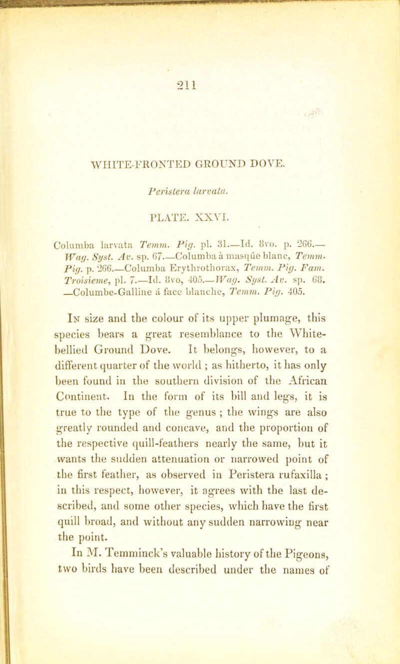 WHITE-FRONTED GROUND DOVE. Peristera larvata. PLATE. XXVI. Columba larvata Ternm. Pit/, pi. 31—Id. 8vo. p. 2(56.— Wag. Syst. Av. sp. 07 Columba a masque blanc, Ternm- Pig. p. 266 Columba Erythrothorax, Ternm. Pig. Fam. Troisieme, pi. 7.—Id. 8vo, 405—Wag. Syst. Av. sp. 08. Columbe-Galline a face blanche, Ternm. Pig. 405. IiJ size and the colour of its upper plumage, this species bears a great resemblance to the White- bellied Ground Dove. It belongs, however, to a different quarter of the world ; as hitherto, it has only been found in the southern division of the African Continent. In the form of its bill and legs, it is true to the type of the genus ; the wings are also greatly rounded and concave, and the proportion of the respective quill-feathers nearly the same, but it wants the sudden attenuation or narrowed point of the first feather, as observed in Peristera rufaxilla ; in this respect, however, it agrees with the last de- scribed, and some other species, which have the first quill broad, and without any sudden narrowing near the point. In M. Temminck’s valuable history of the Pigeons, two birds have been described under the names of