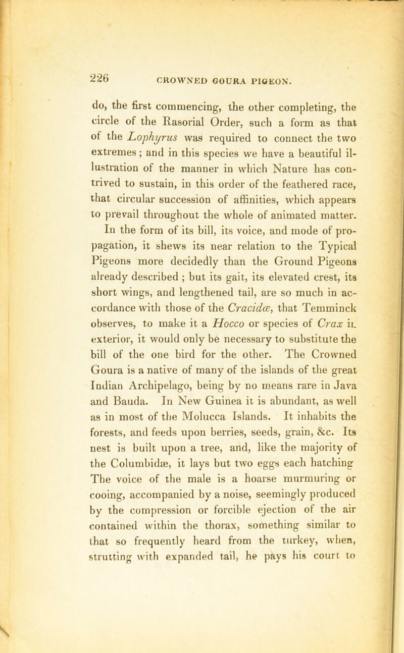 do, the first commencing, the other completing, the circle of the Rasorial Order, such a form as that ot the Lophyrus was required to connect the two extremes; and in this species we have a beautiful il- lustration of the manner in which Nature has con- trived to sustain, in this order of the feathered race, that circular succession of affinities, which appears to prevail throughout the whole of animated matter. In the form of its bill, its voice, and mode of pro- pagation, it shews its near relation to the Typical Pigeons more decidedly than the Ground Pigeons already described ; but its gait, its elevated crest, its short wings, and lengthened tail, are so much in ac- cordance with those of the Cracidce, that Temminck observes, to make it a Hocco or species of Crax ii_ exterior, it would only be necessary to substitute the bill of the one bird for the other. The Crowned Goura is a native of many of the islands of the great Indian Archipelago, being by no means rare in Java and Bauda. In New Guinea it is abundant, as well as in most of the Molucca Islands. It inhabits the forests, and feeds upon berries, seeds, grain, &c. Its nest is built upon a tree, and, like the majority of the Columbidae, it lays but two eggs each hatching The voice of the male is a hoarse murmuring or cooing, accompanied by a noise, seemingly produced by the compression or forcible ejection of the air contained within the thorax, something similar to that so frequently heard from the turkey, when, strutting with expanded tail, he pays his court to